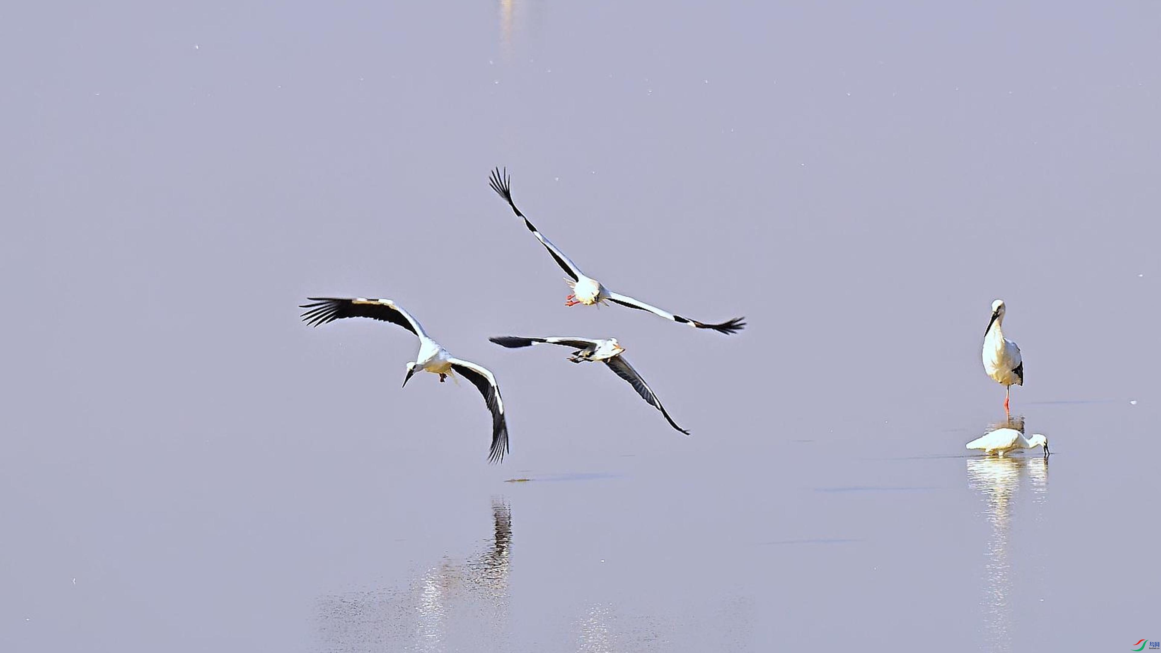 ���������������ʳ��