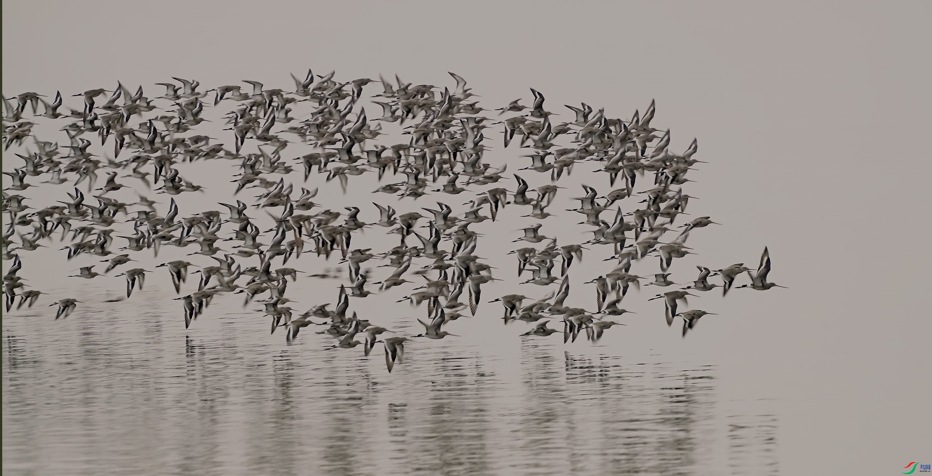 DSC02918 ����.jpg