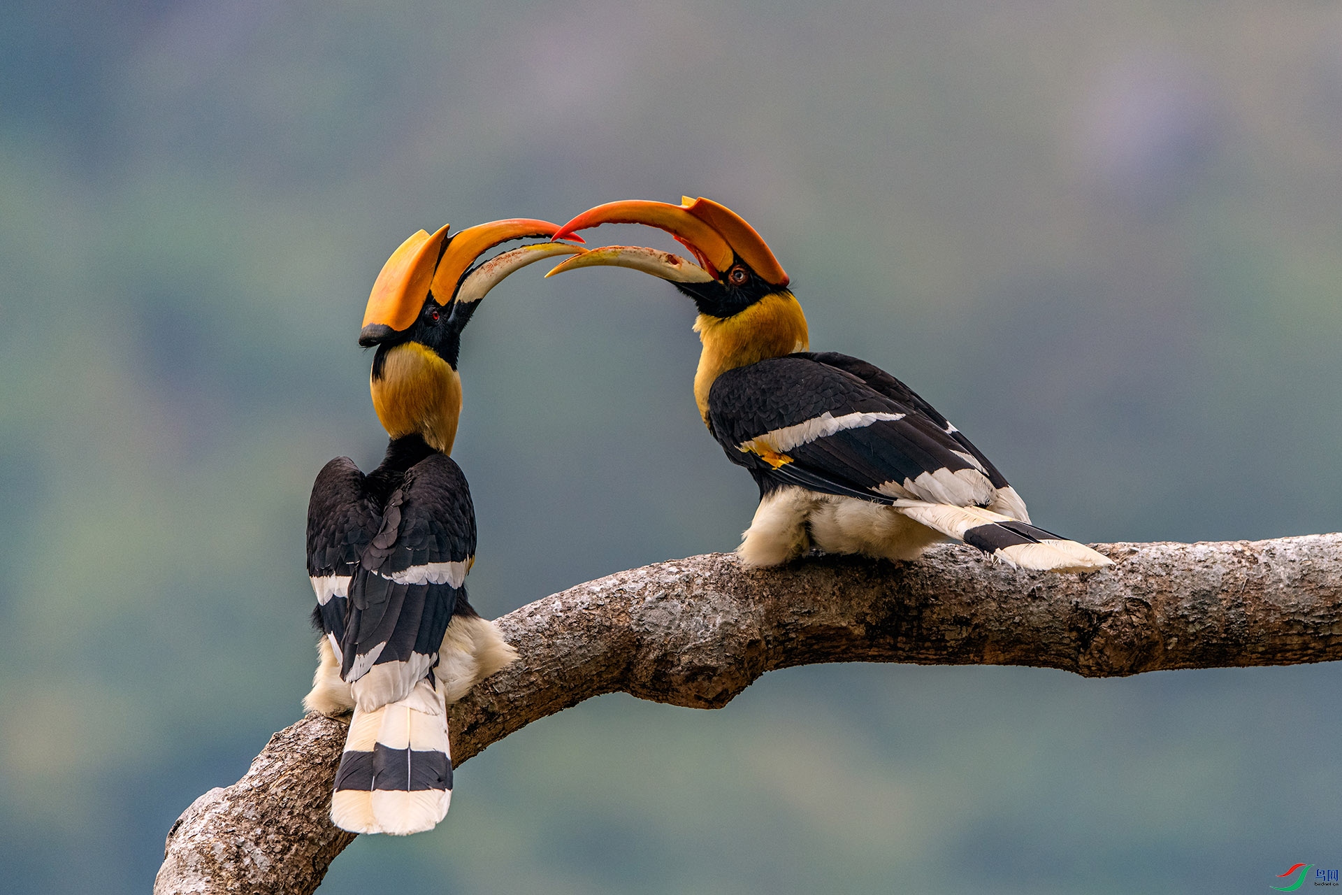 _AUU7926�ʺ�(24.2.21).jpg