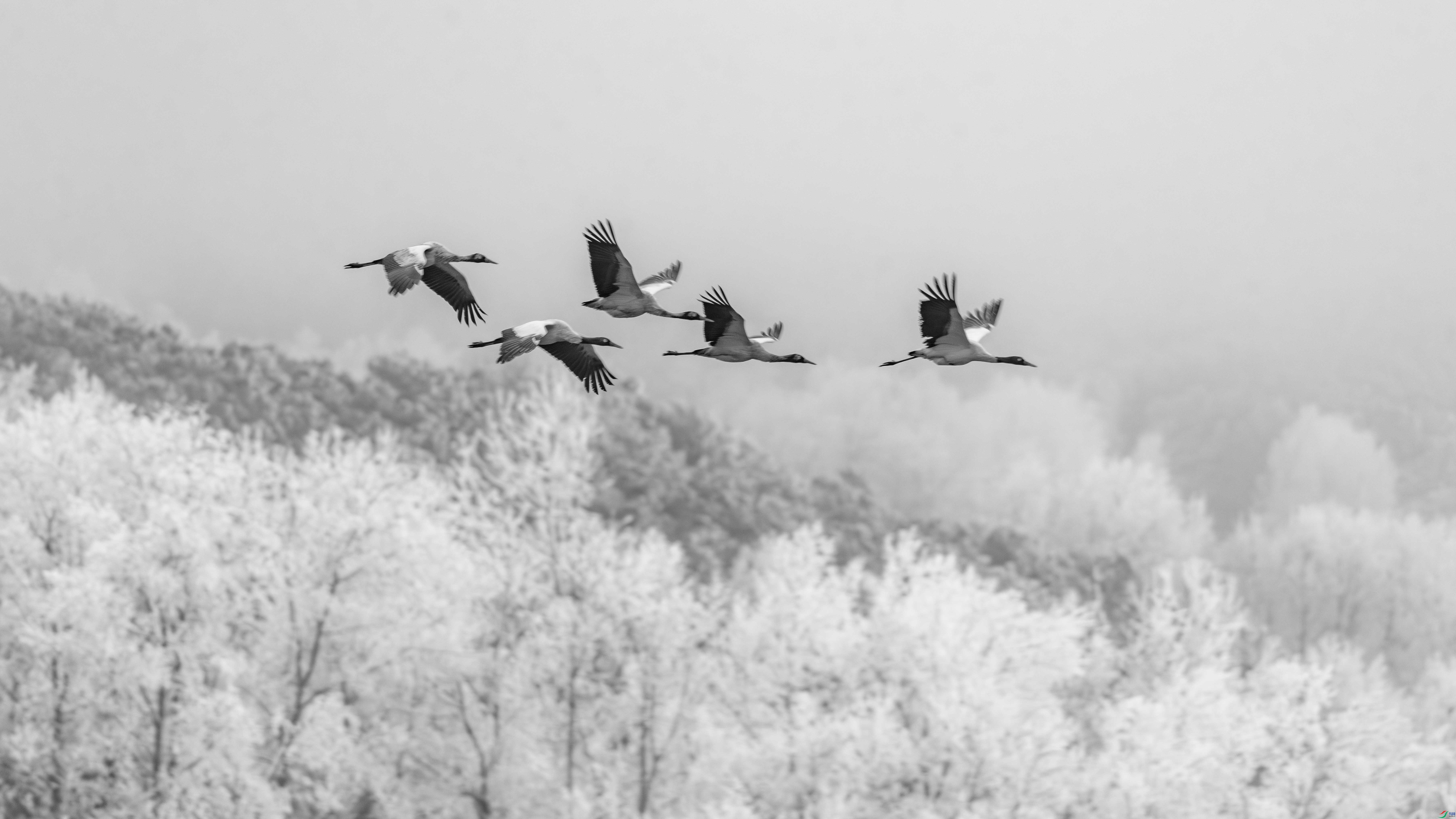 _DSC4410_1.JPG