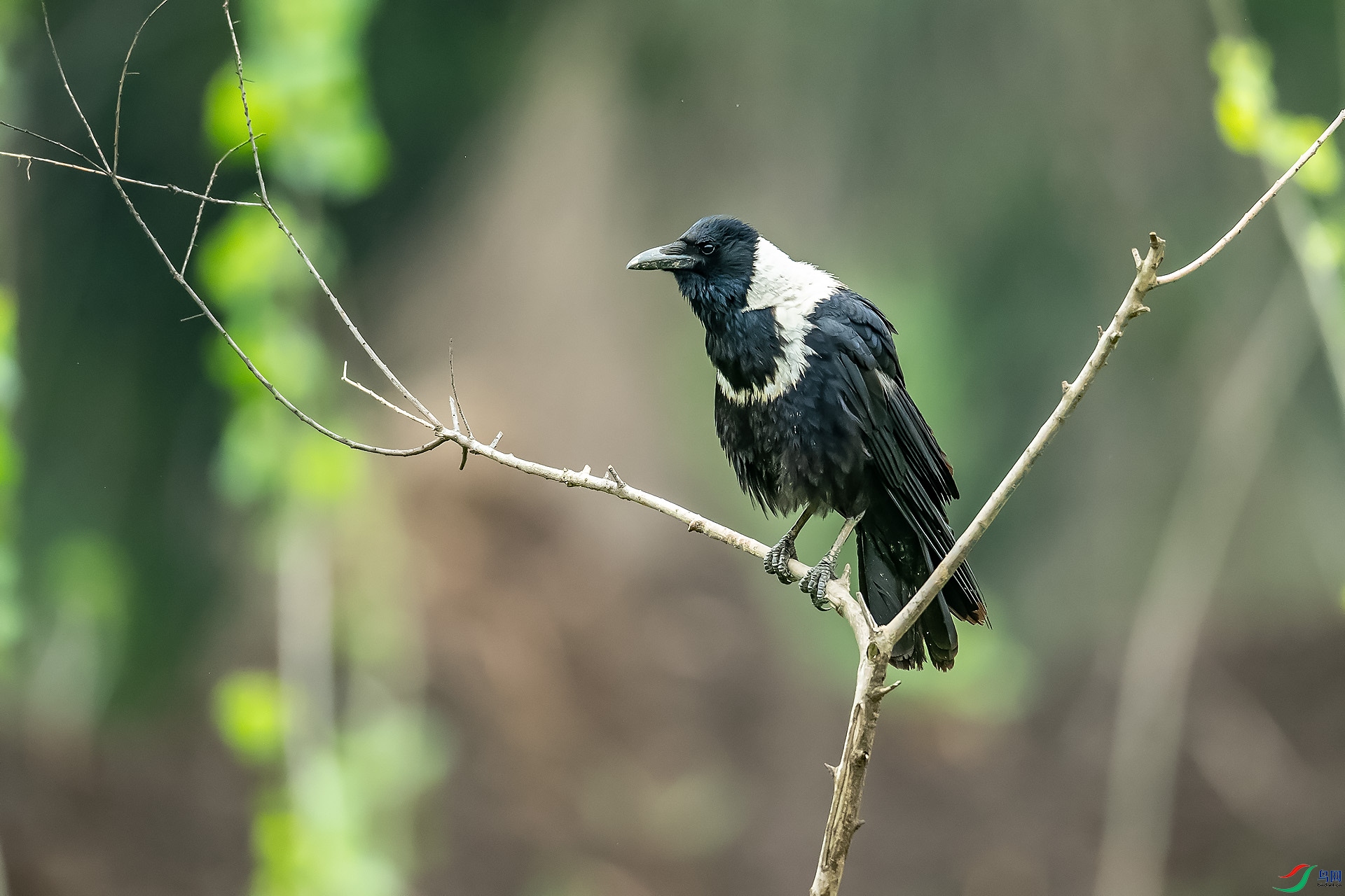 DSC_3938.jpg