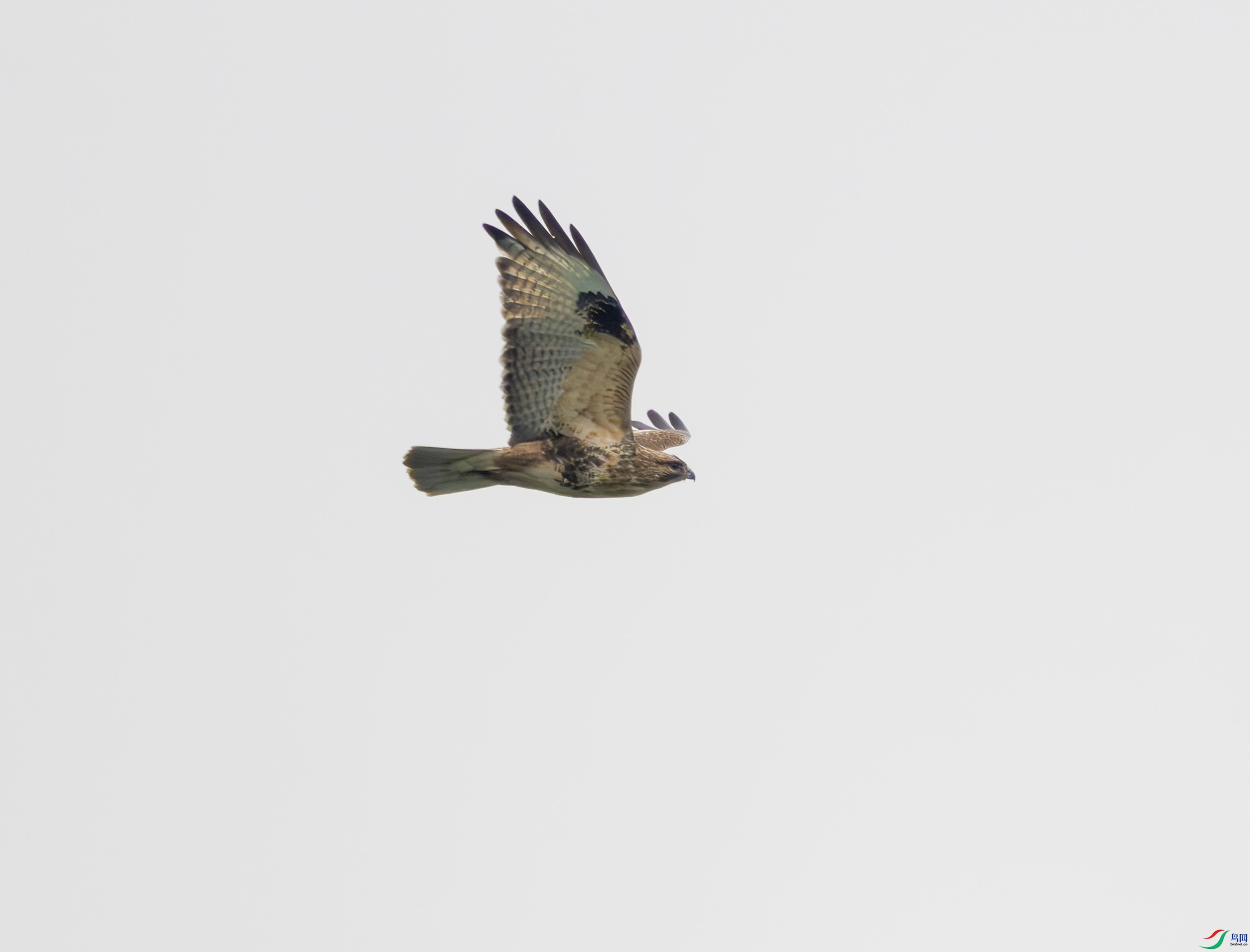 2I1A2310-����ǿ-NR.jpg