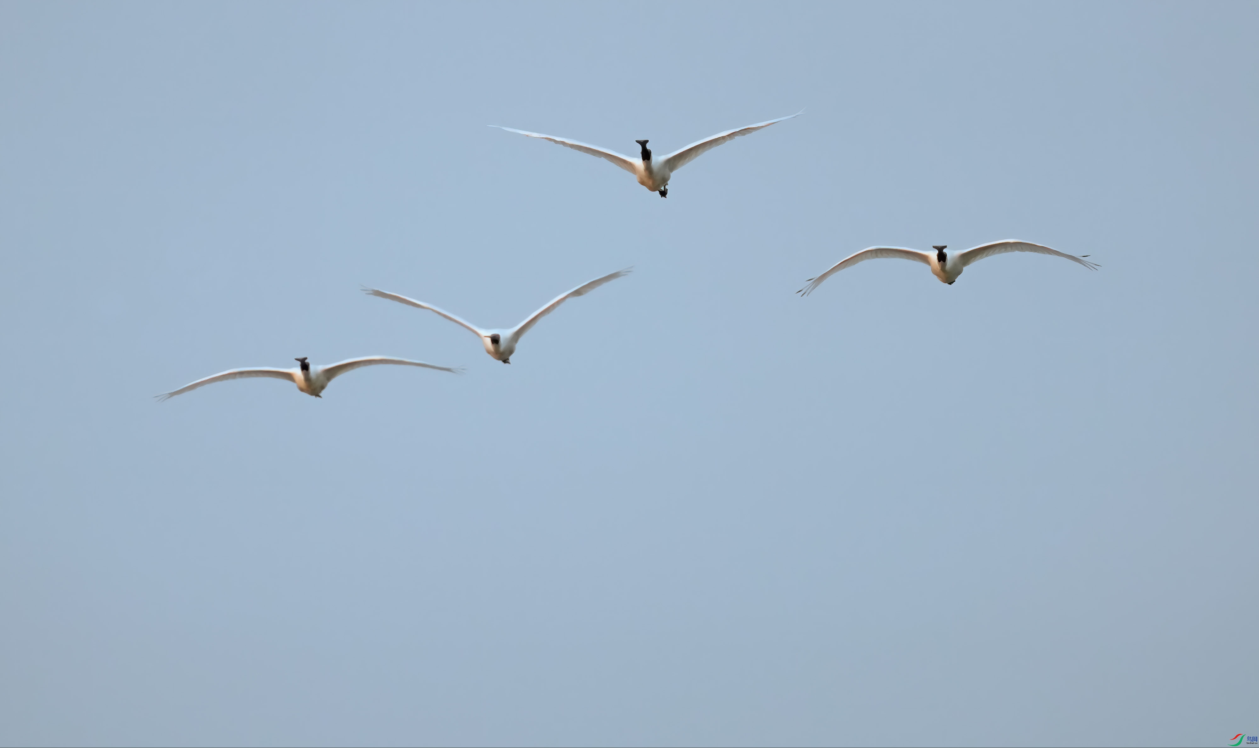 DSC03094 ����.jpg