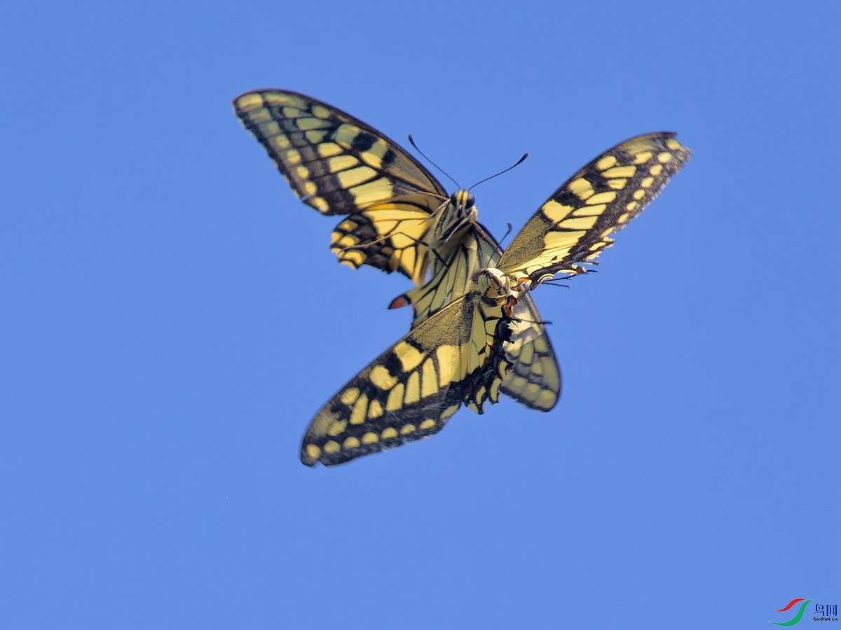 PA032905_DxO - ����.jpg