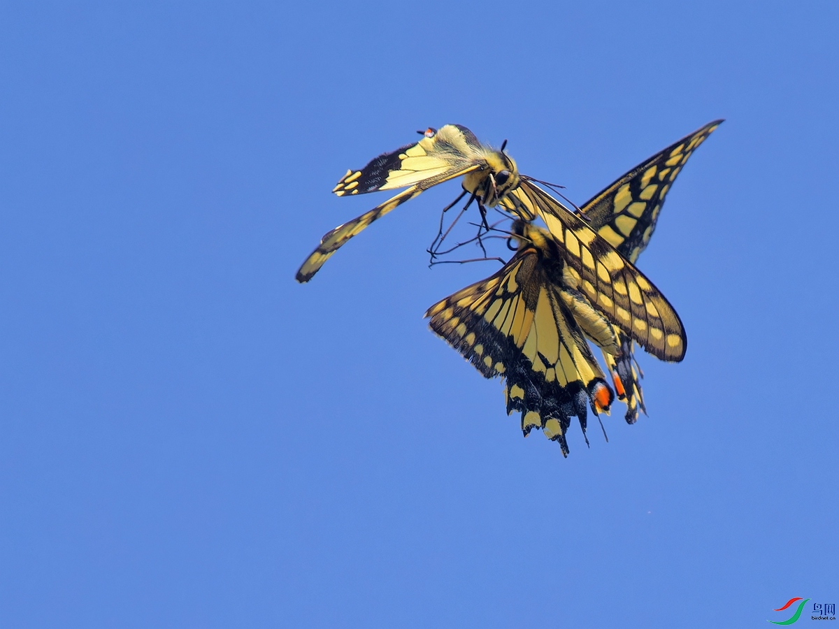 PA032906_DxO - ����.jpg