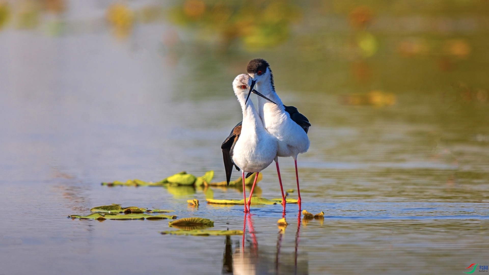 1_XXI6251 ����.jpg