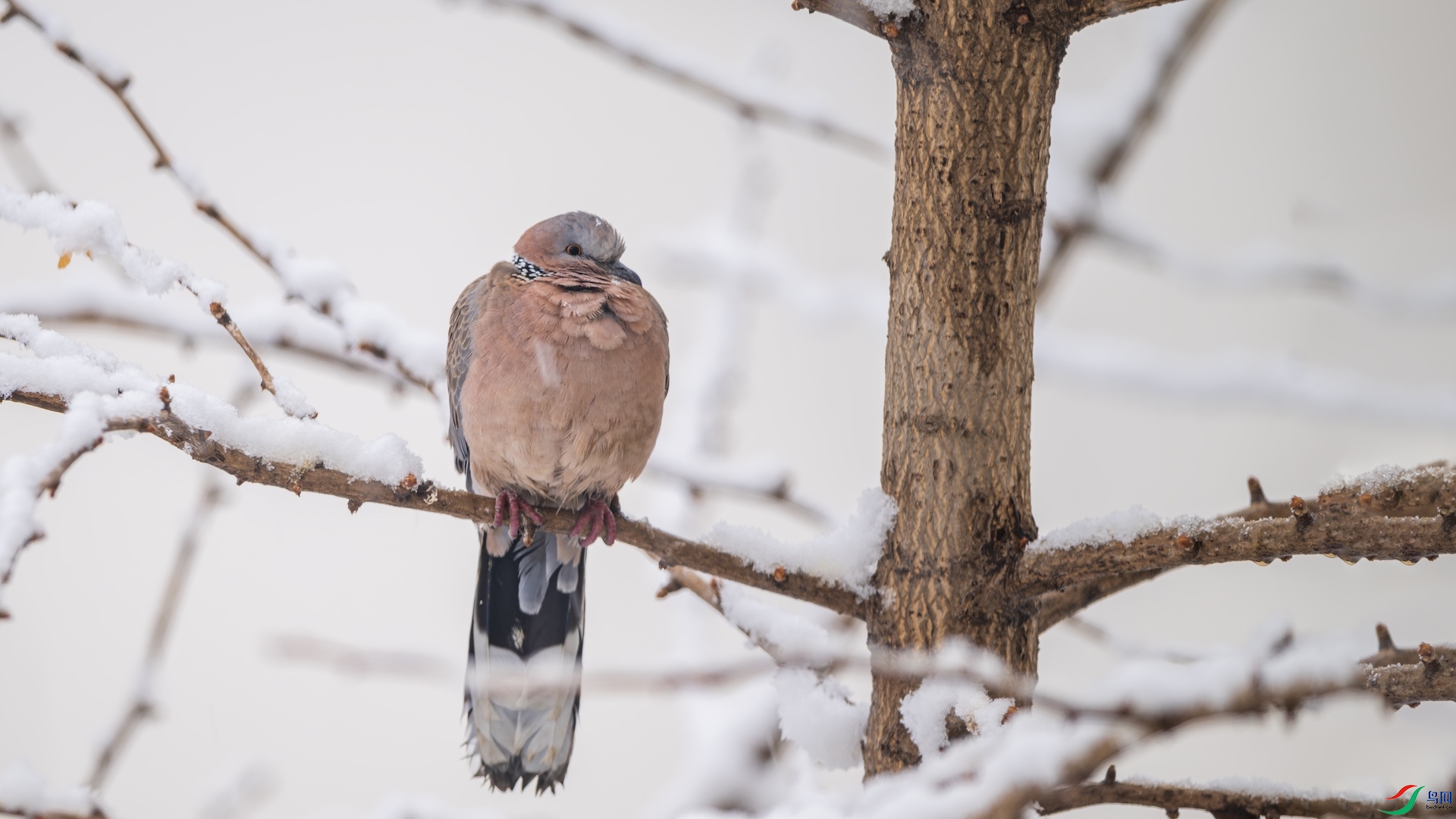 1-2_DSC9267-����ǿ-NR ����.jpeg