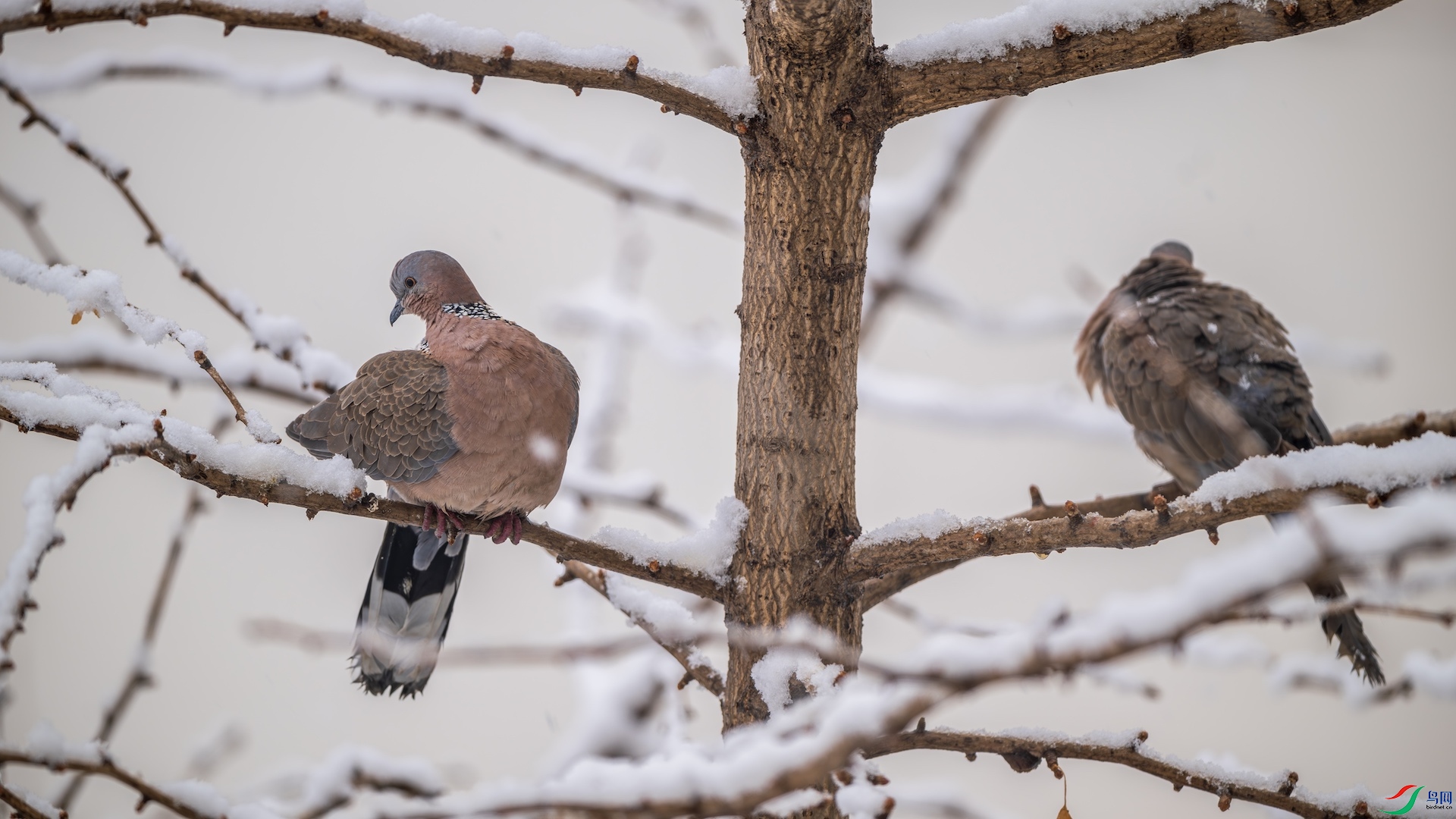 1-2_DSC9346-����ǿ-NR ����.jpeg