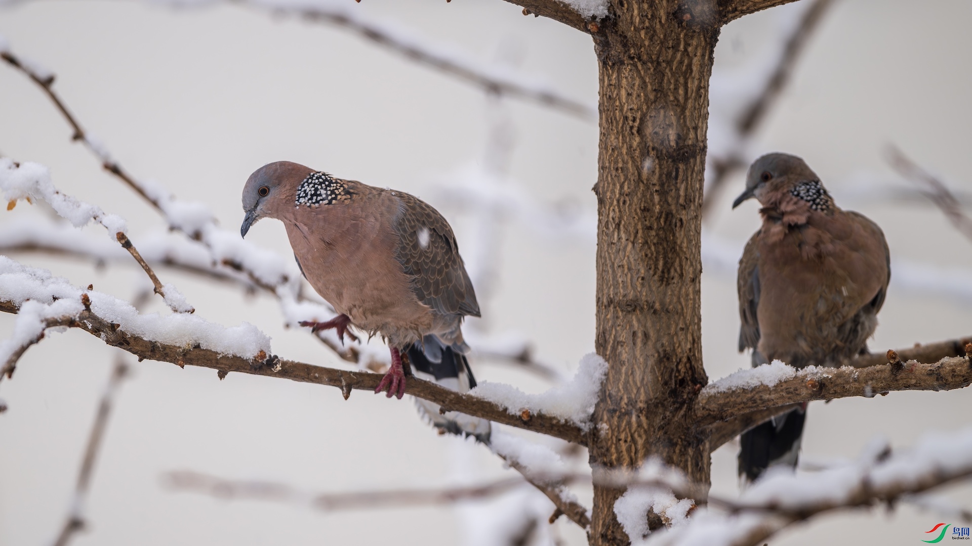 1-2_DSC9422-����ǿ-NR ����.jpeg