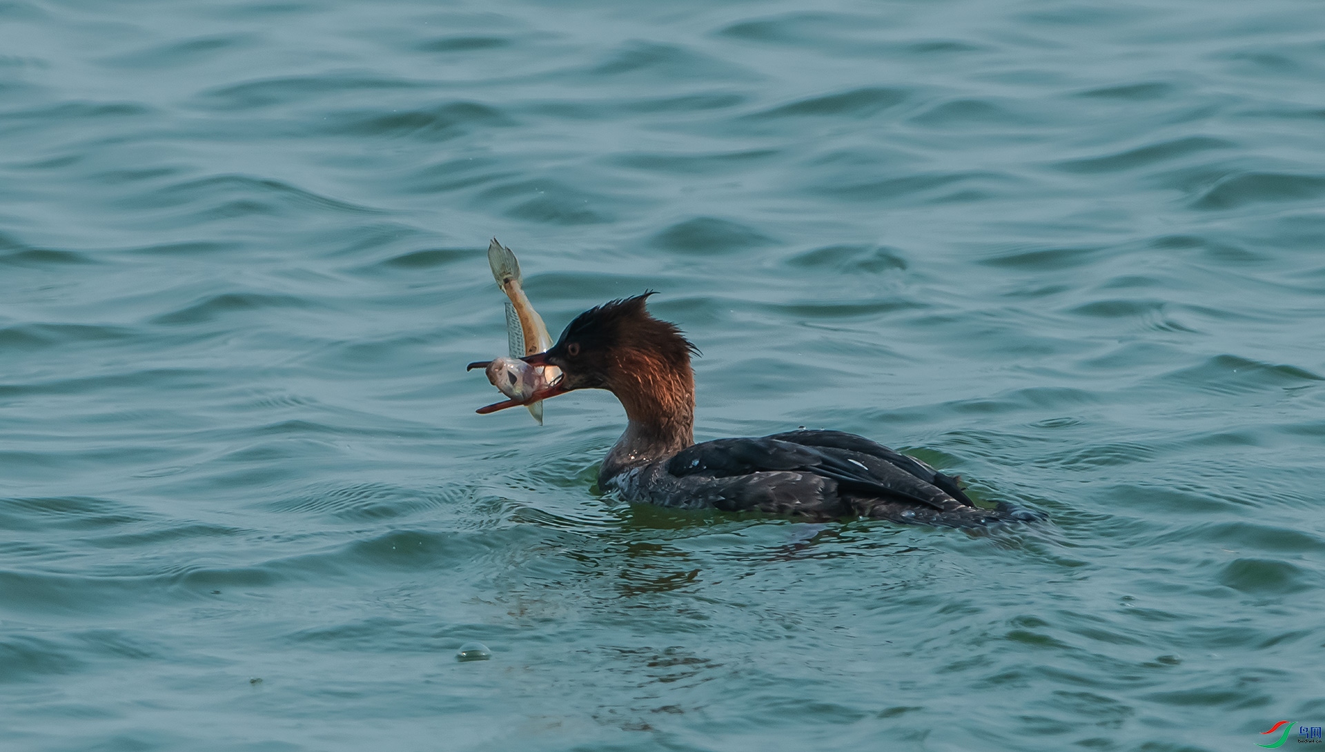 DSC_2623.jpg