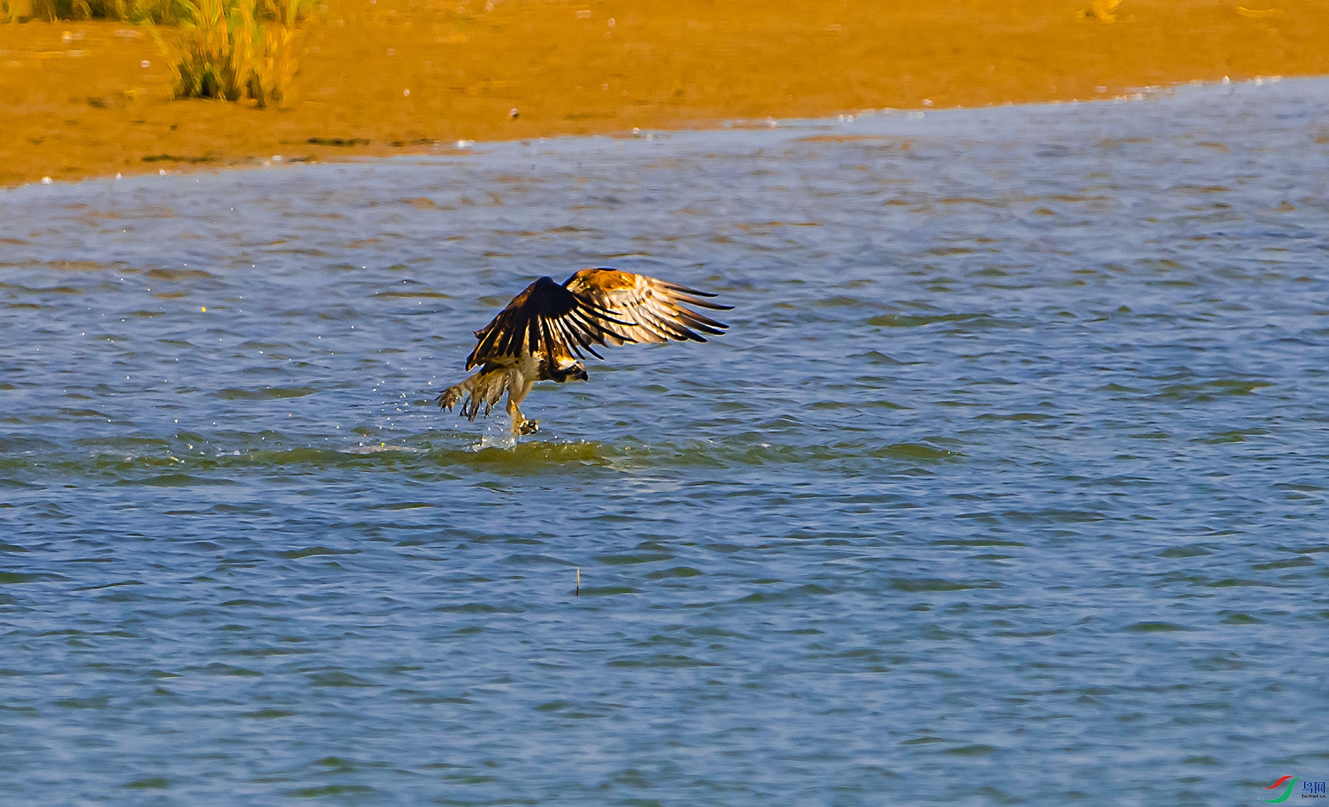 DSC_0268.jpg
