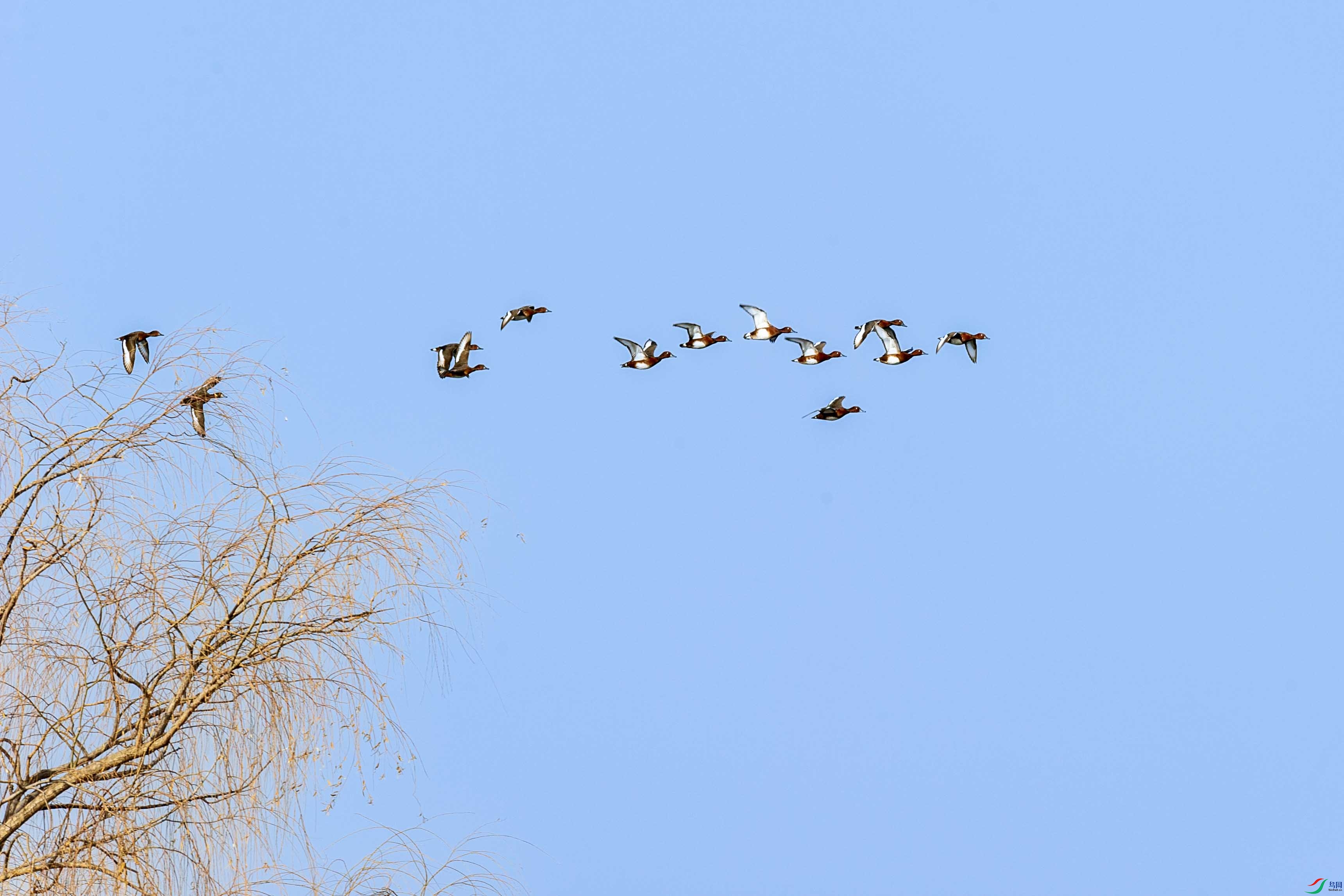 DSC_5850 ����.jpg