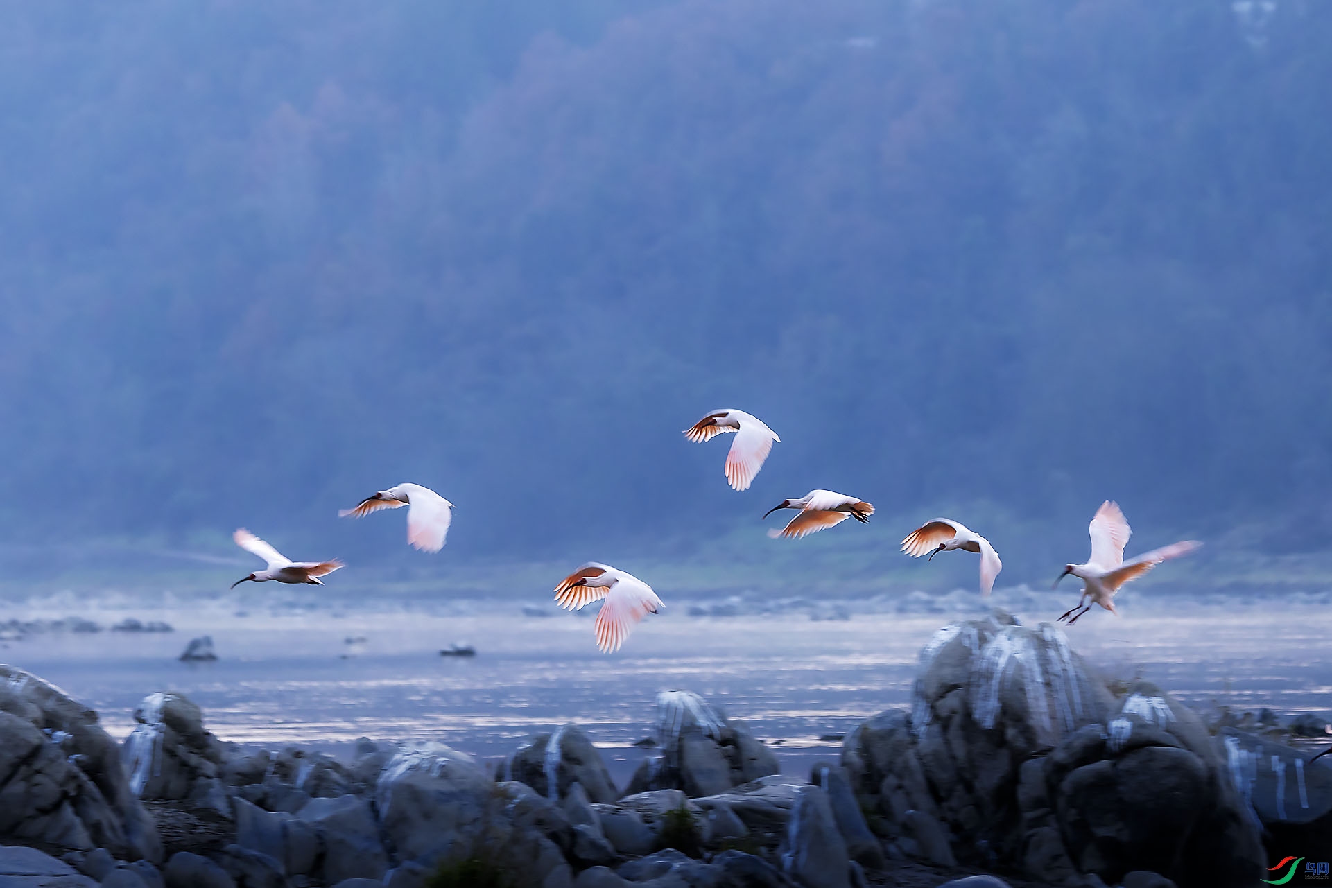 ���q����