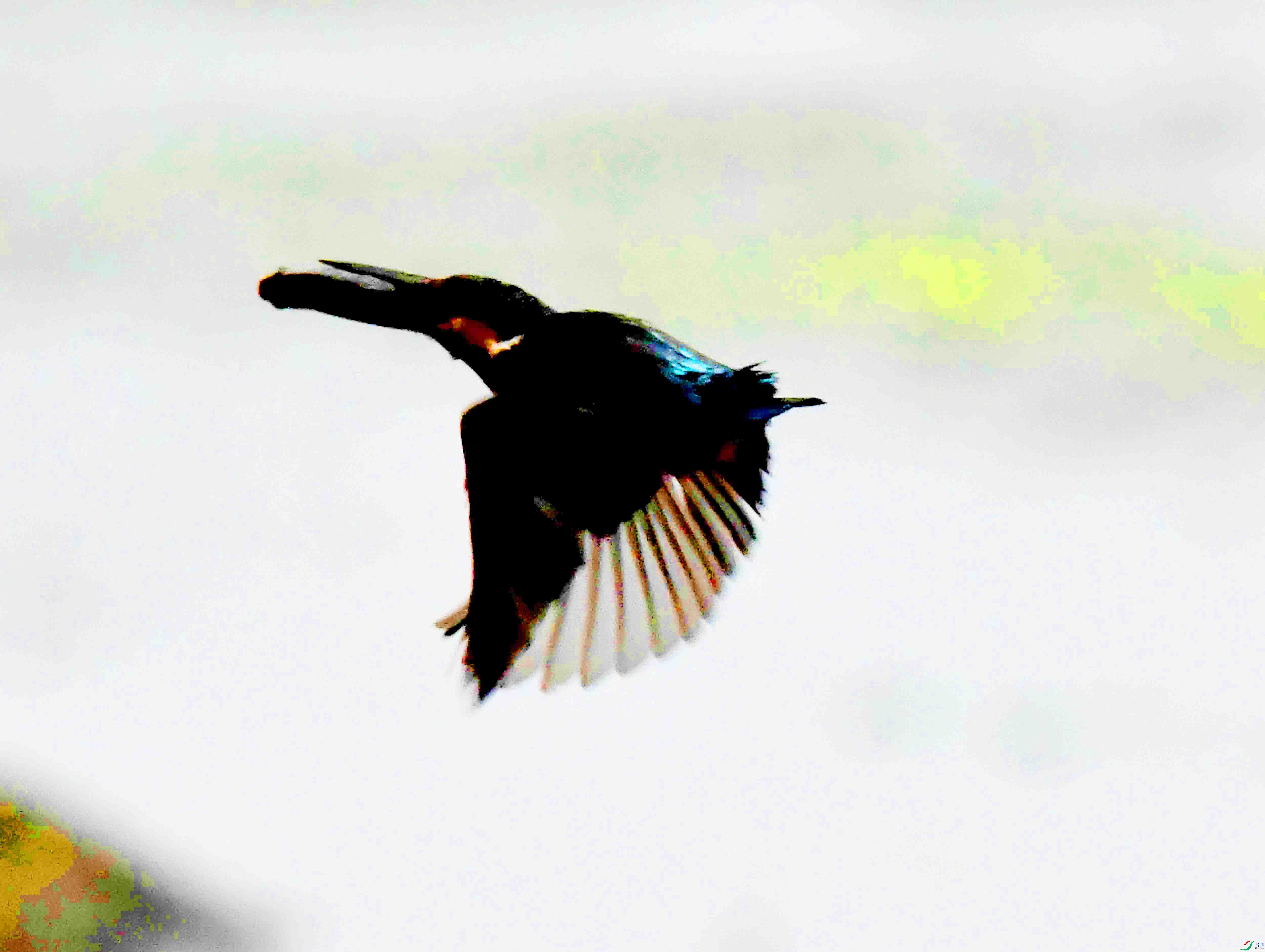 DSC_9765.JPG