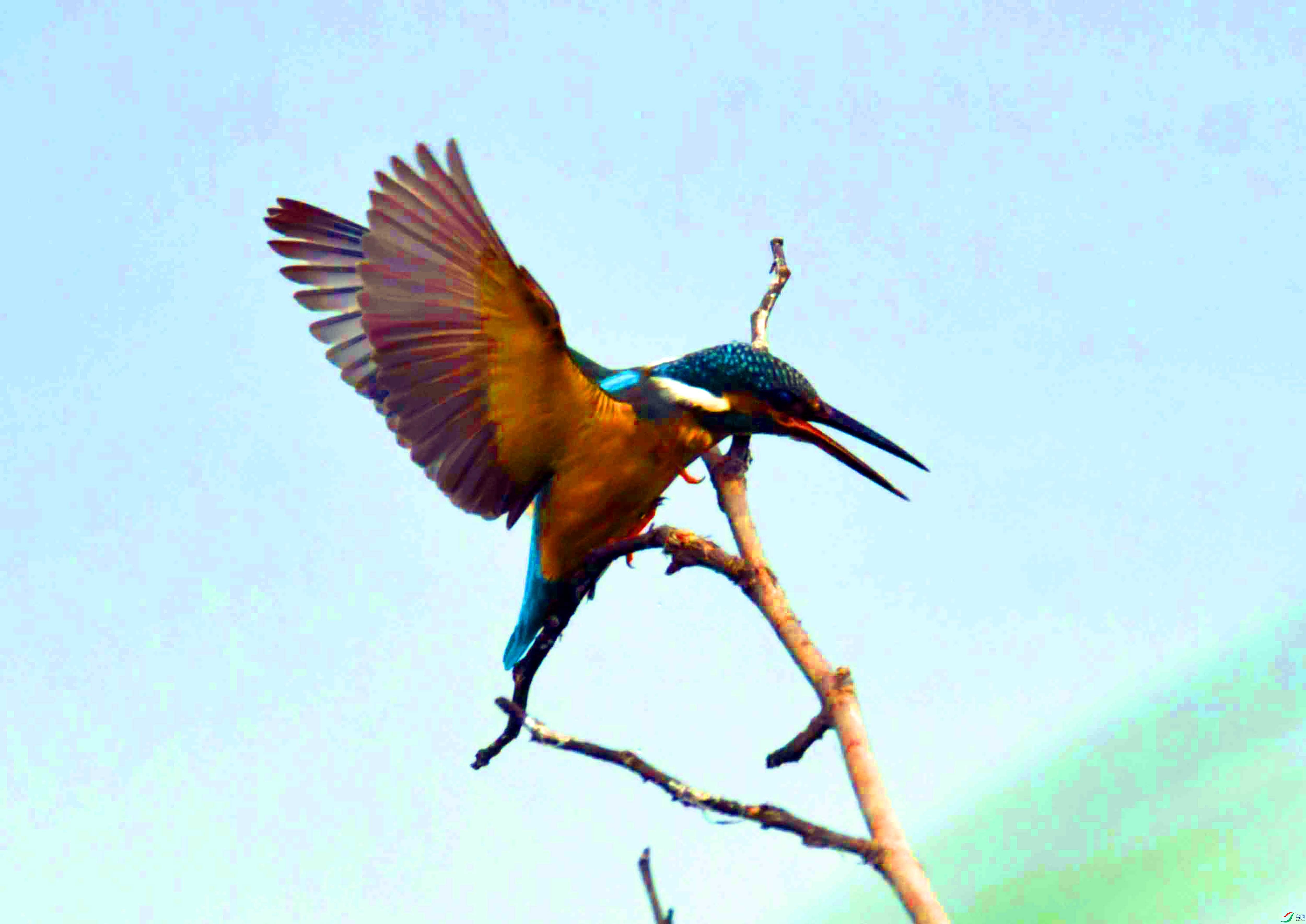 DSC_9840.JPG