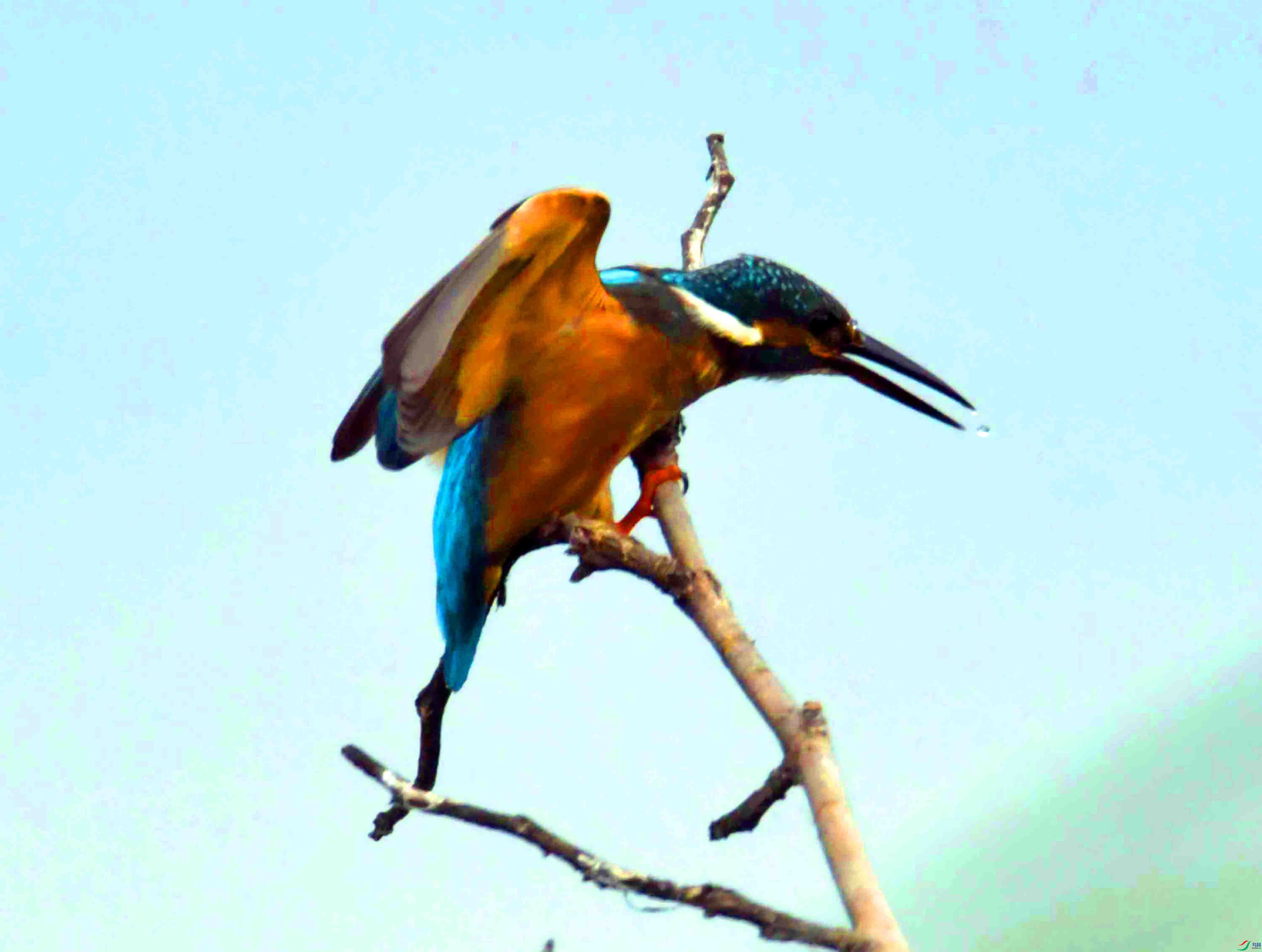 DSC_9841.JPG