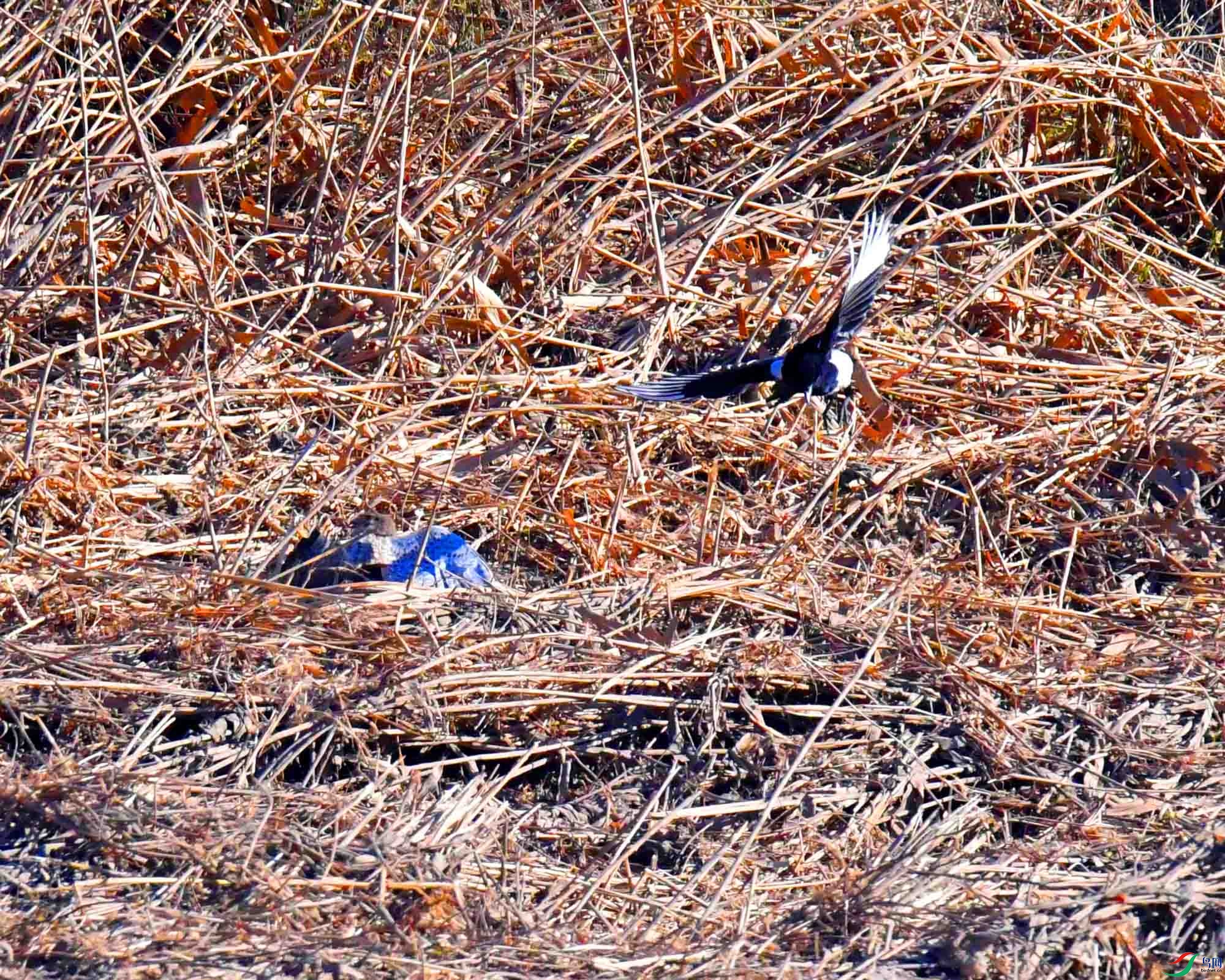 DSC_8212.JPG