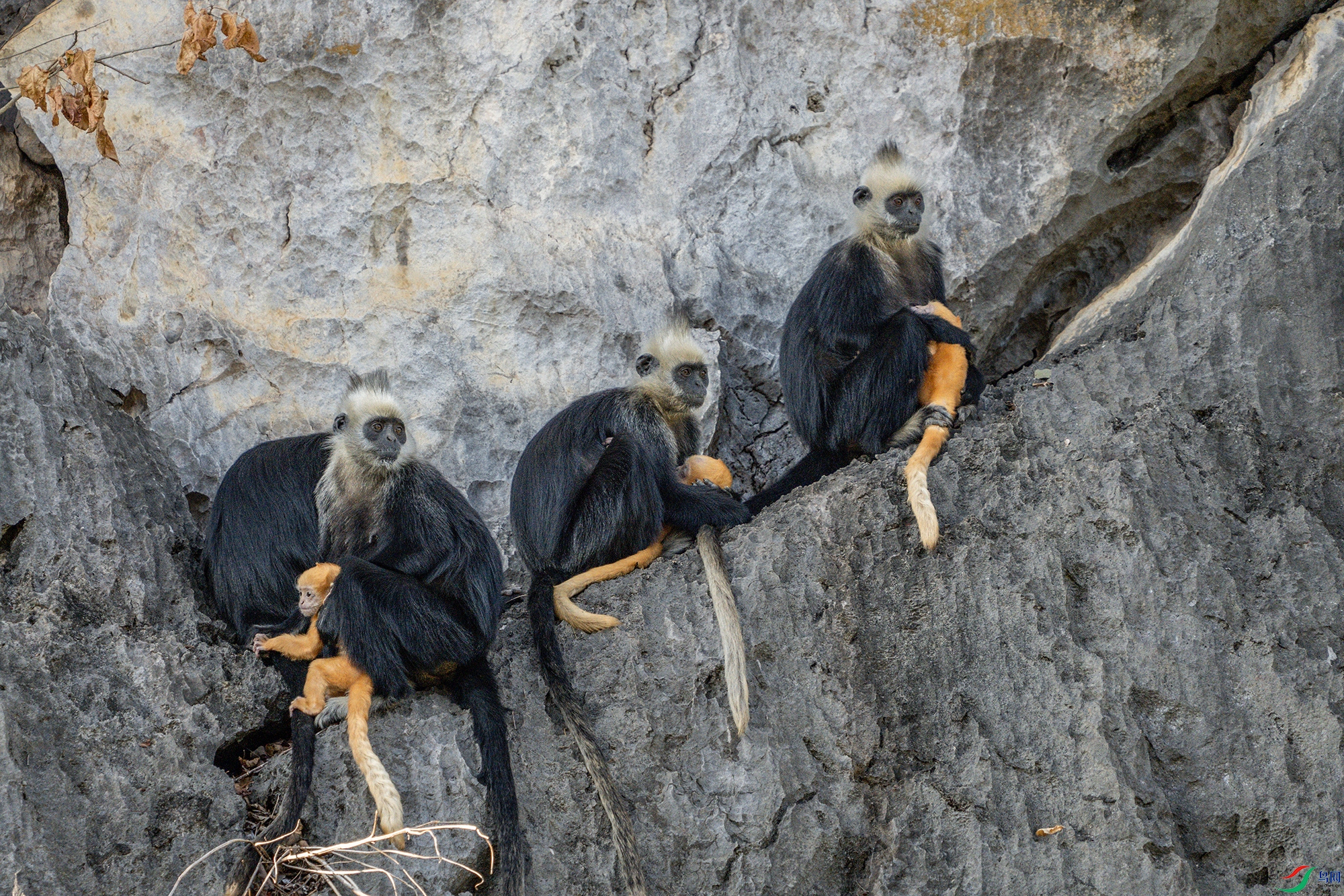 DSC00806 ���� 2.jpg