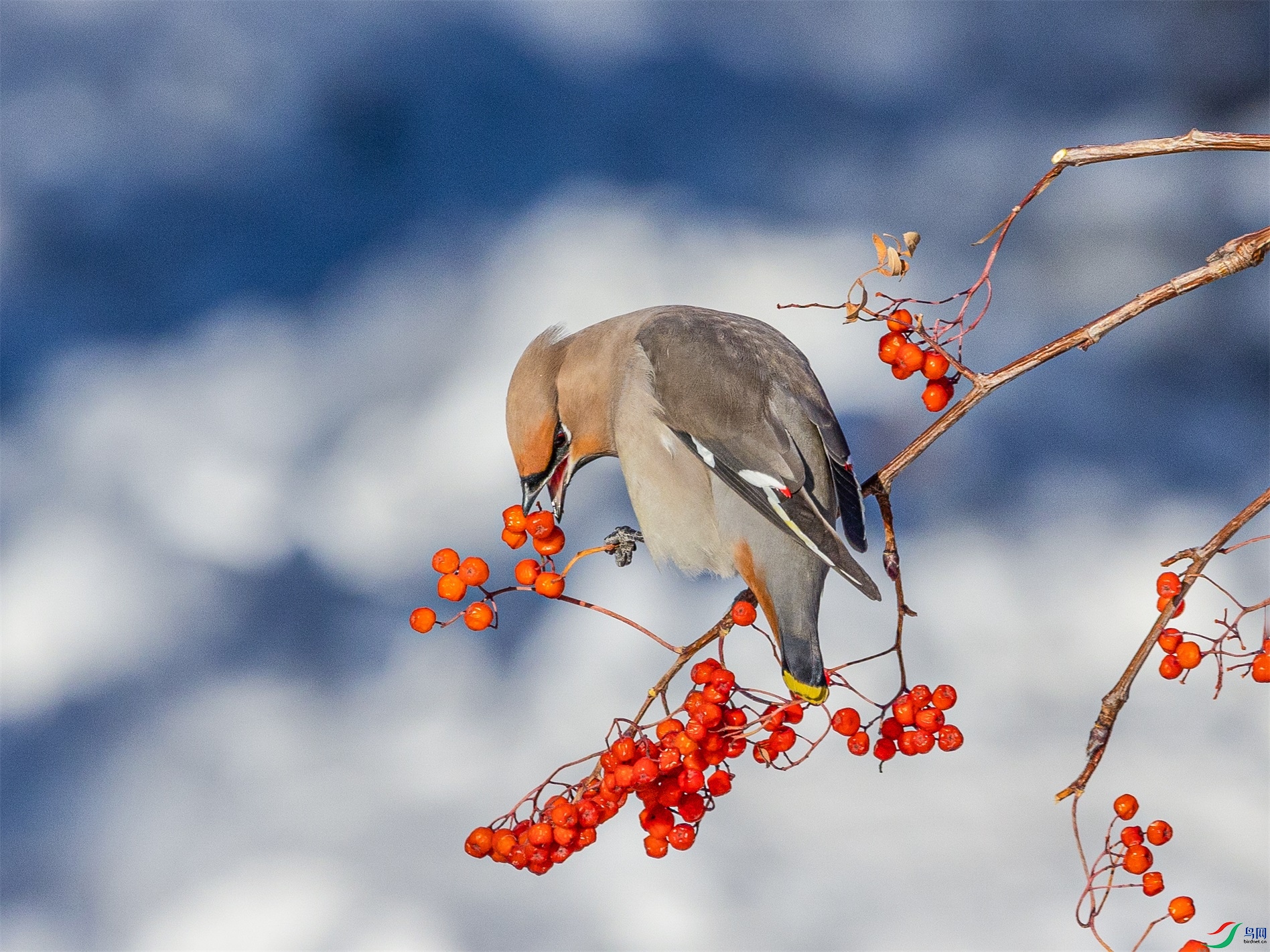 1K3A3359 ����1.jpg