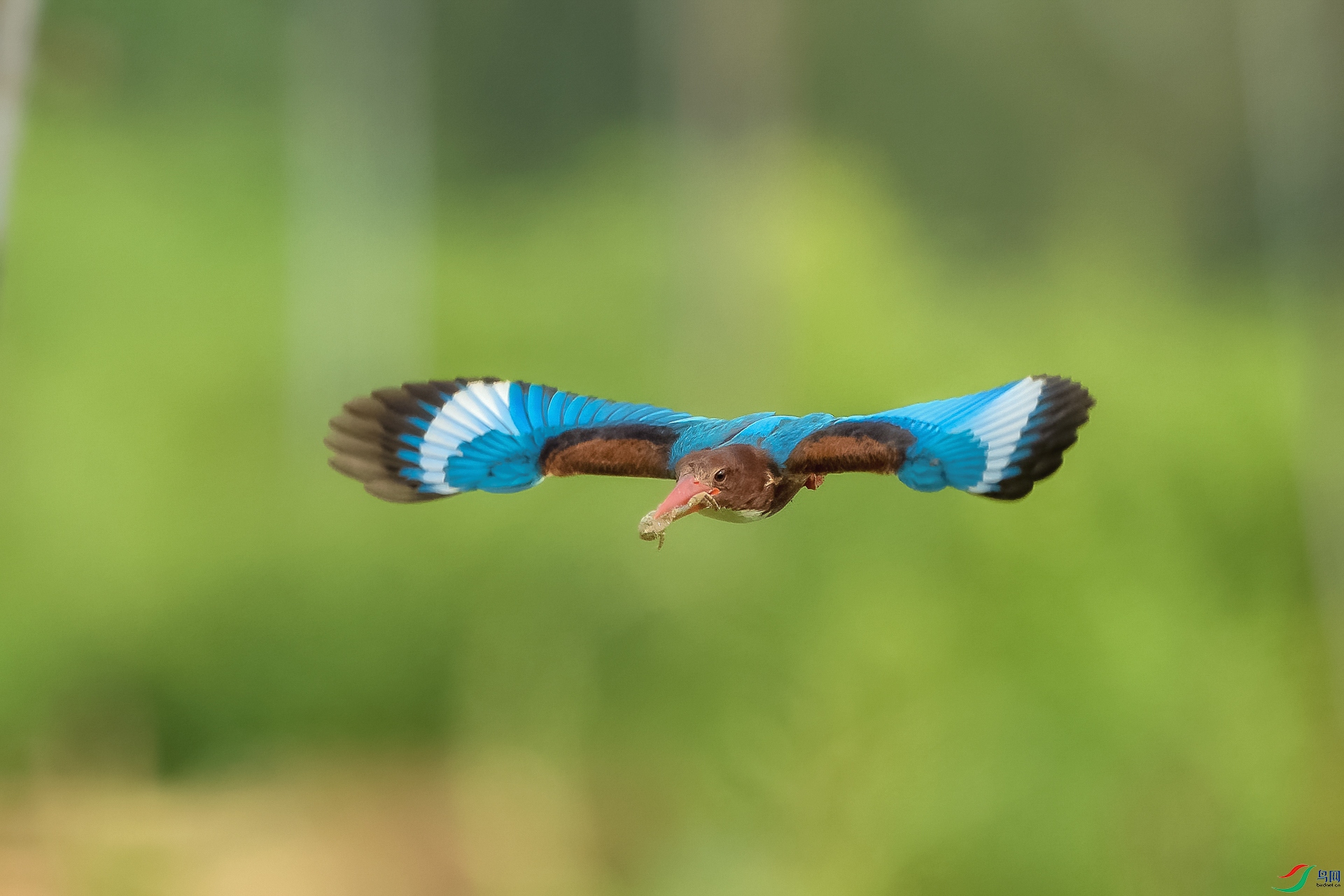 _DSC2607 ����_1.jpg