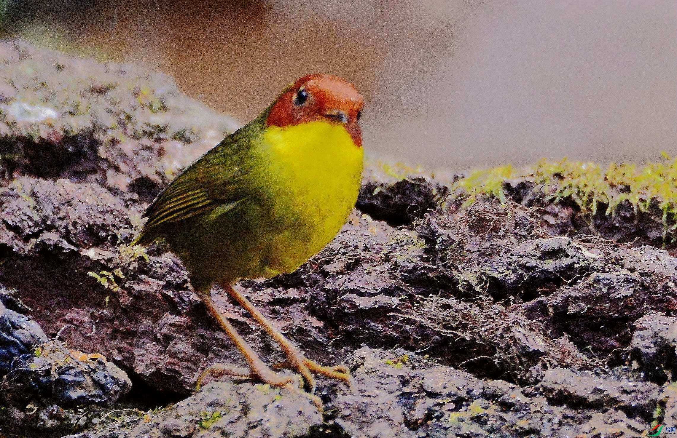 DSC_7922.JPG