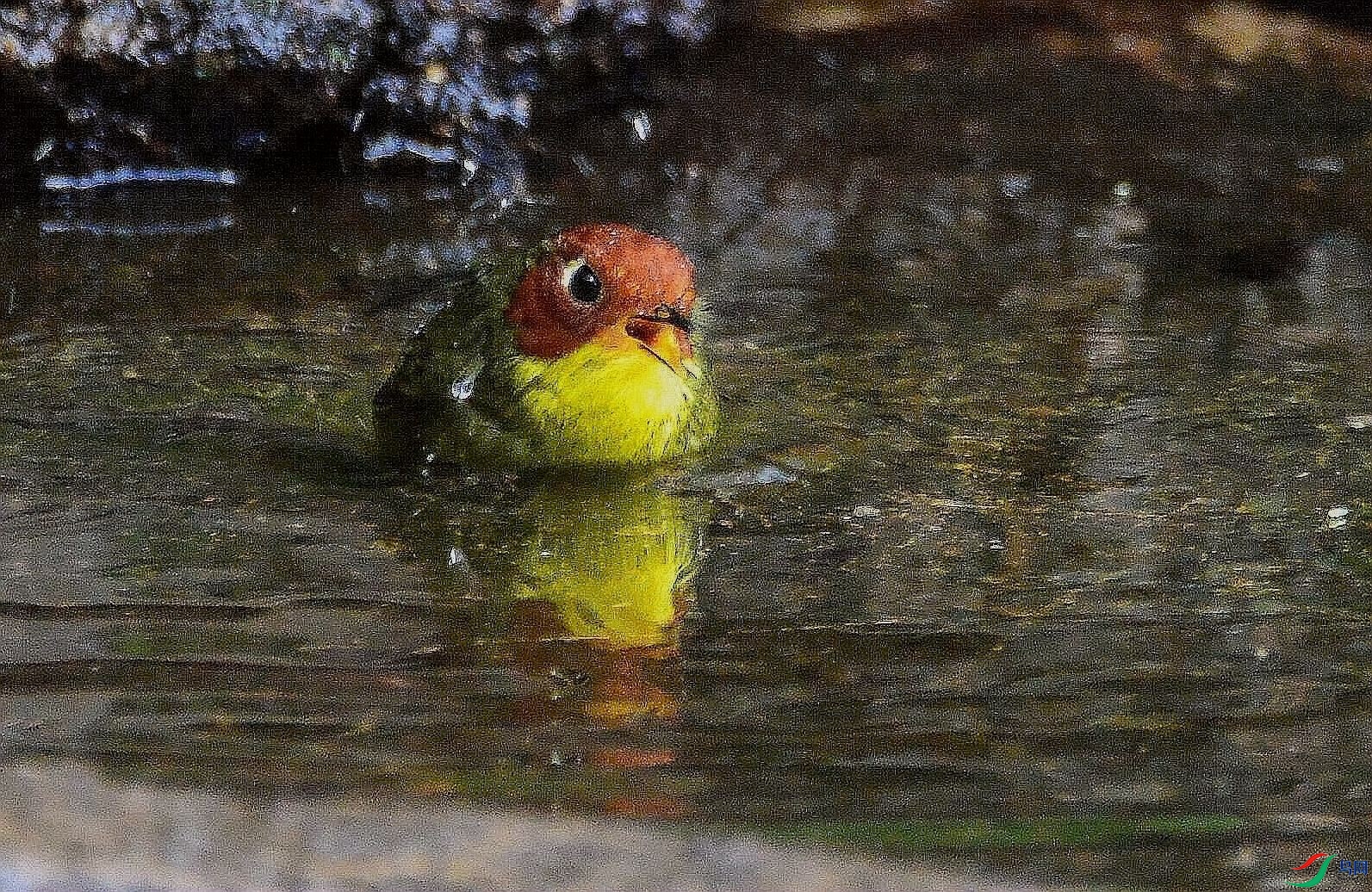 DSC_8944.JPG
