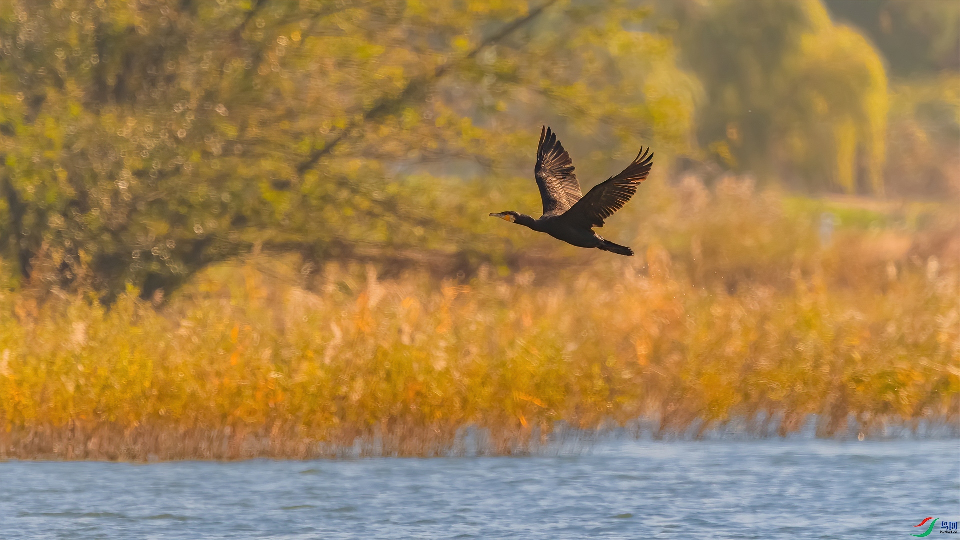 _MG_3900.jpg