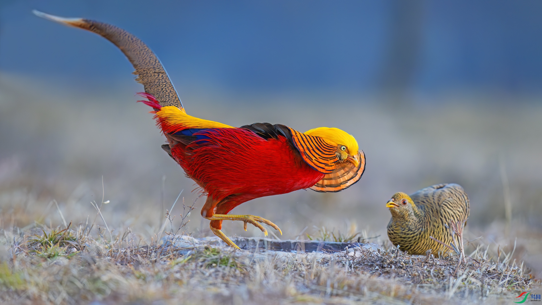 ����˽��