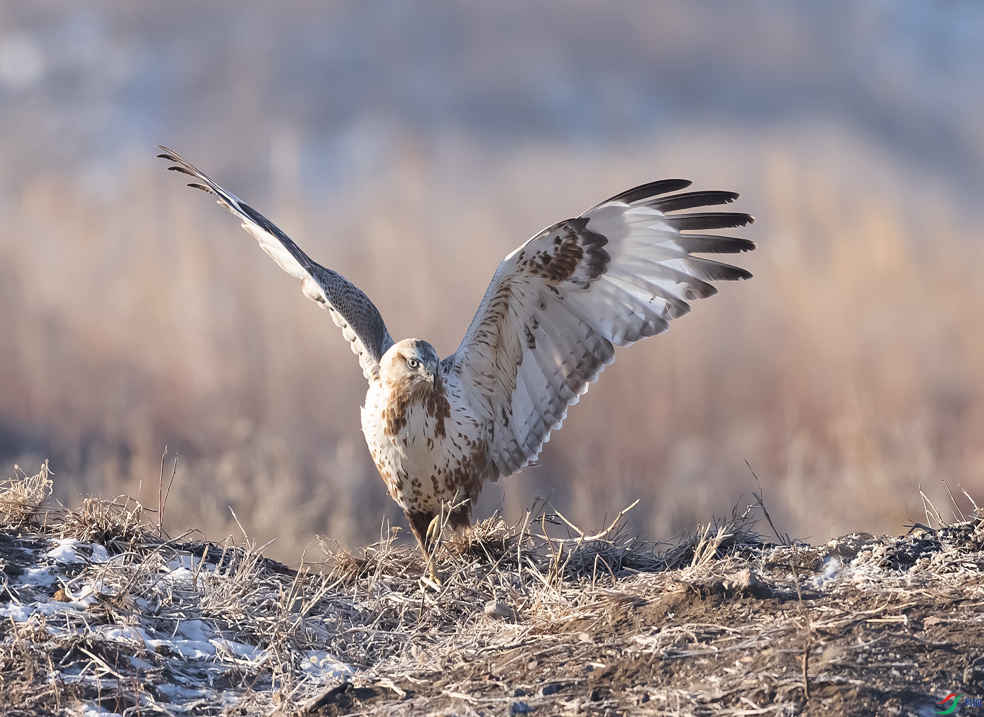 019A8458 ����.jpg