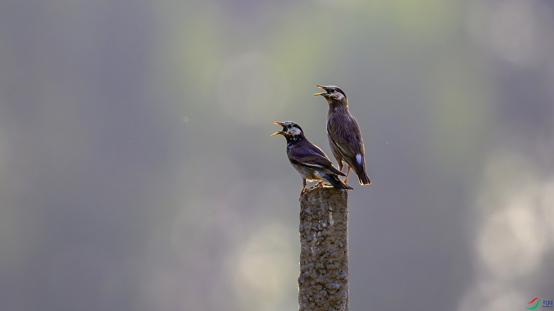 1_DSC0240-����ǿ-NR ����.jpeg