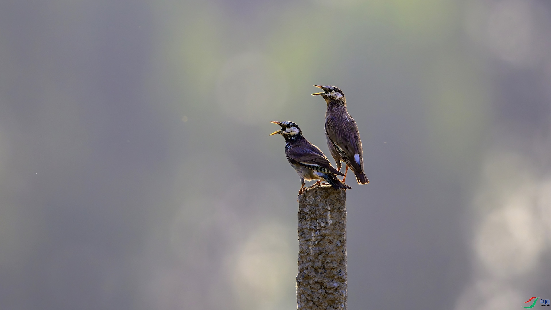 1_DSC0240-����ǿ-NR ���� 2.jpeg