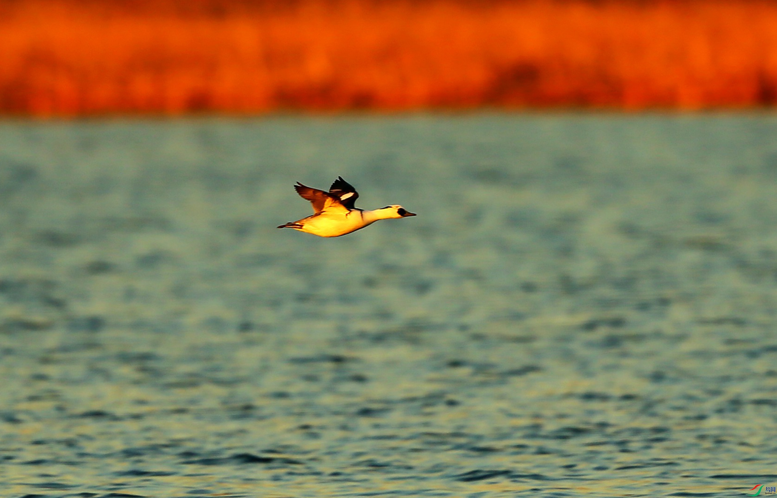 ����ɳѼ (1).JPG