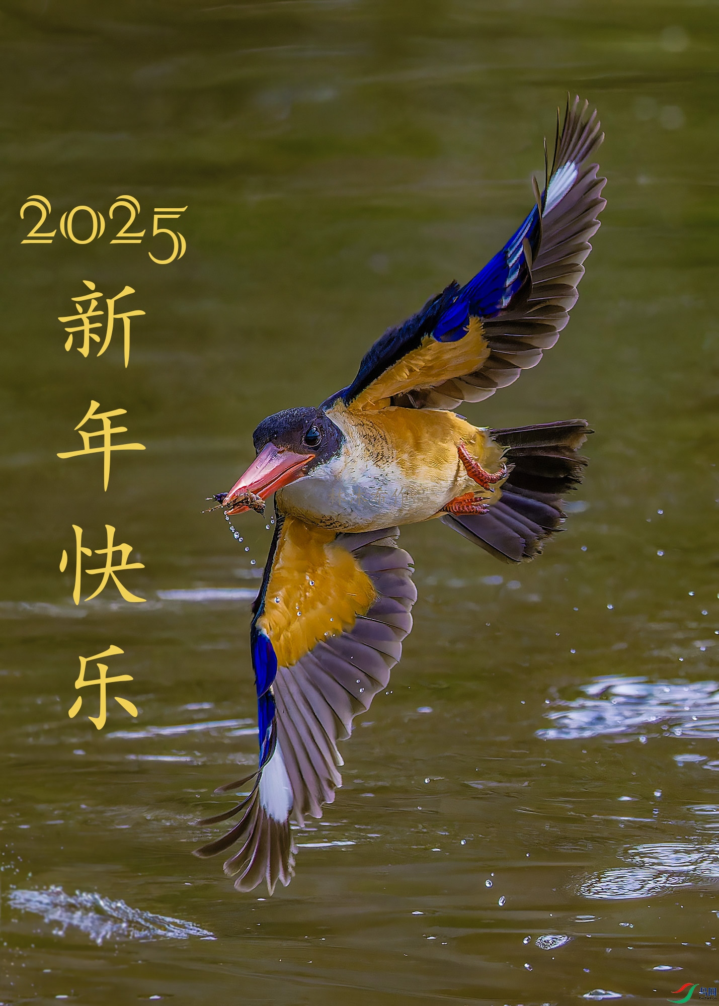 _97A3262-CR3 copy 2.jpg