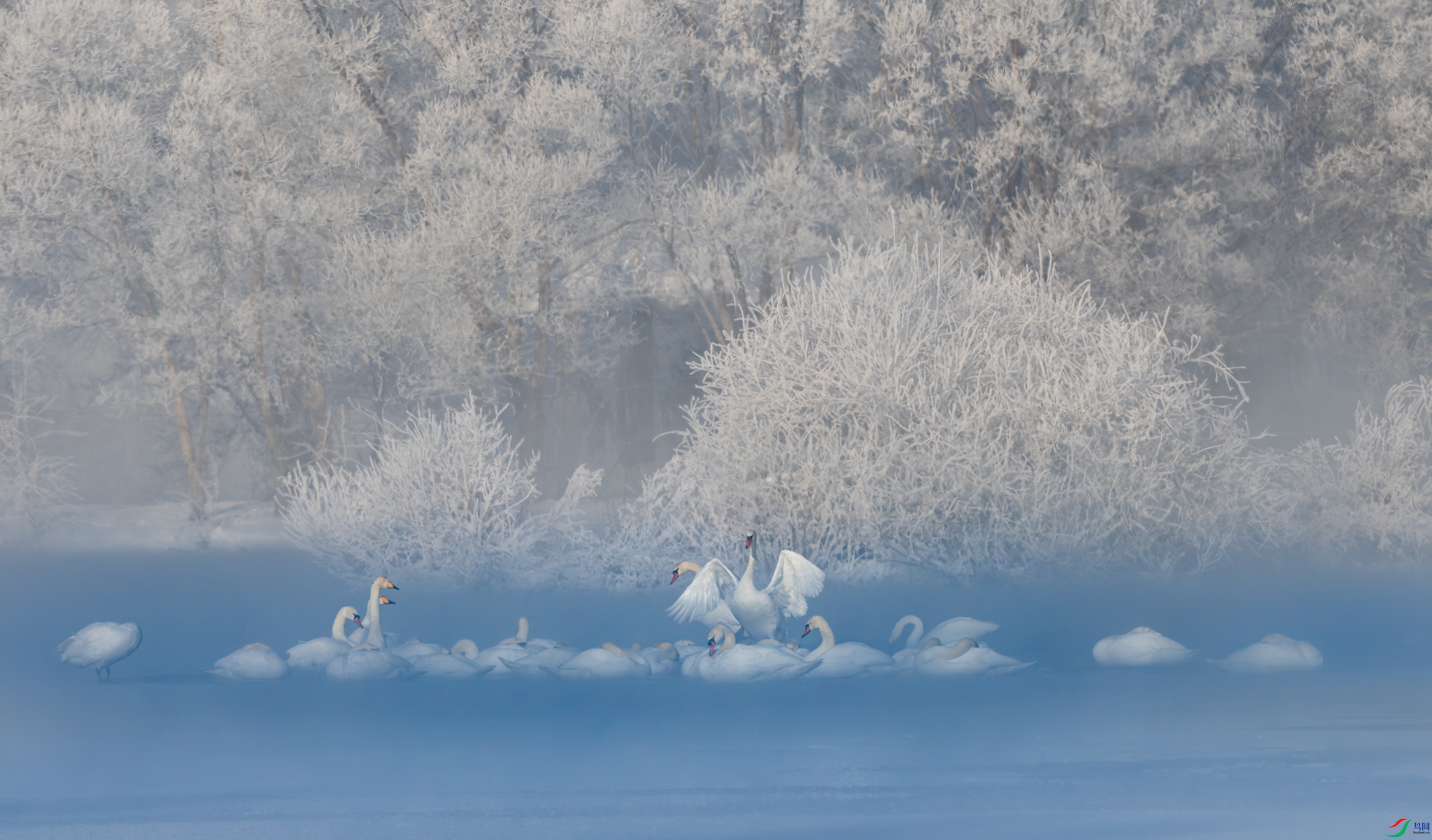 DSC_9444-����ǿ-NR-11.jpg