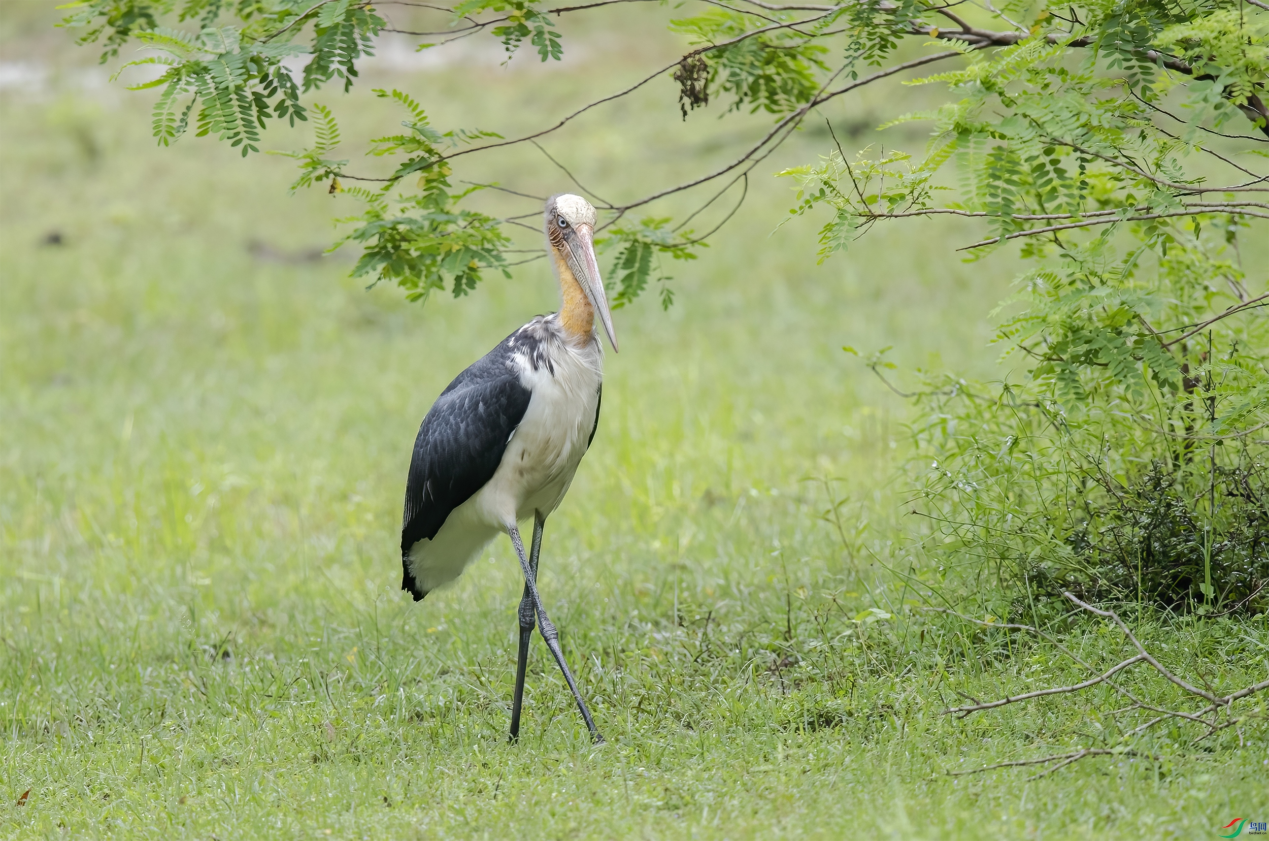 AC3I4502 ����.jpg