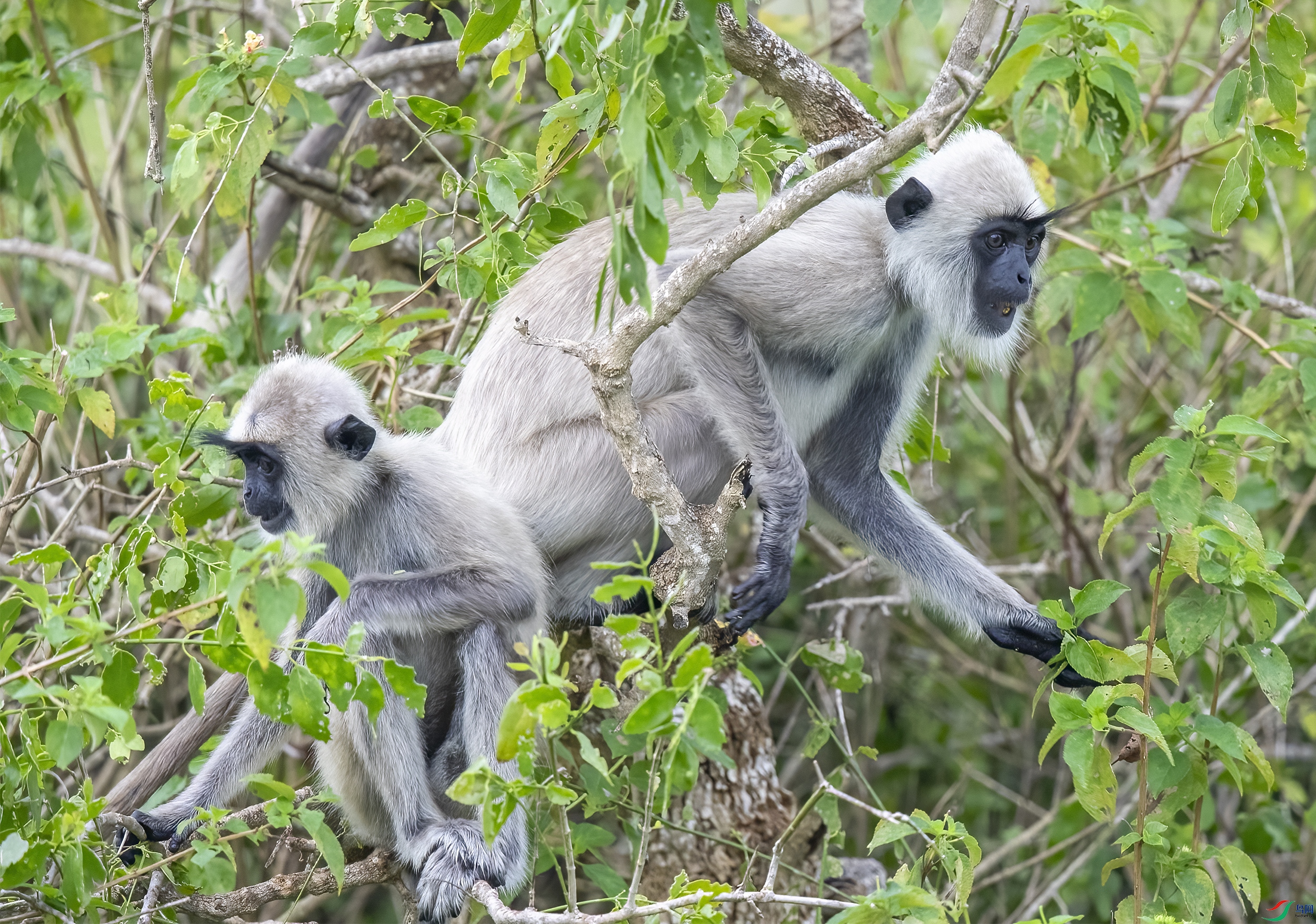 AC3I5365 ����.jpg