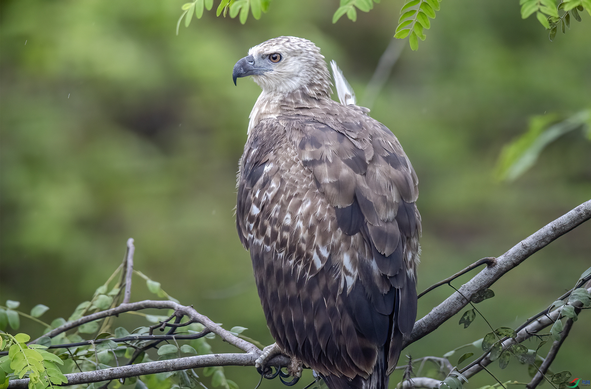 AC3I6695 ����.jpg