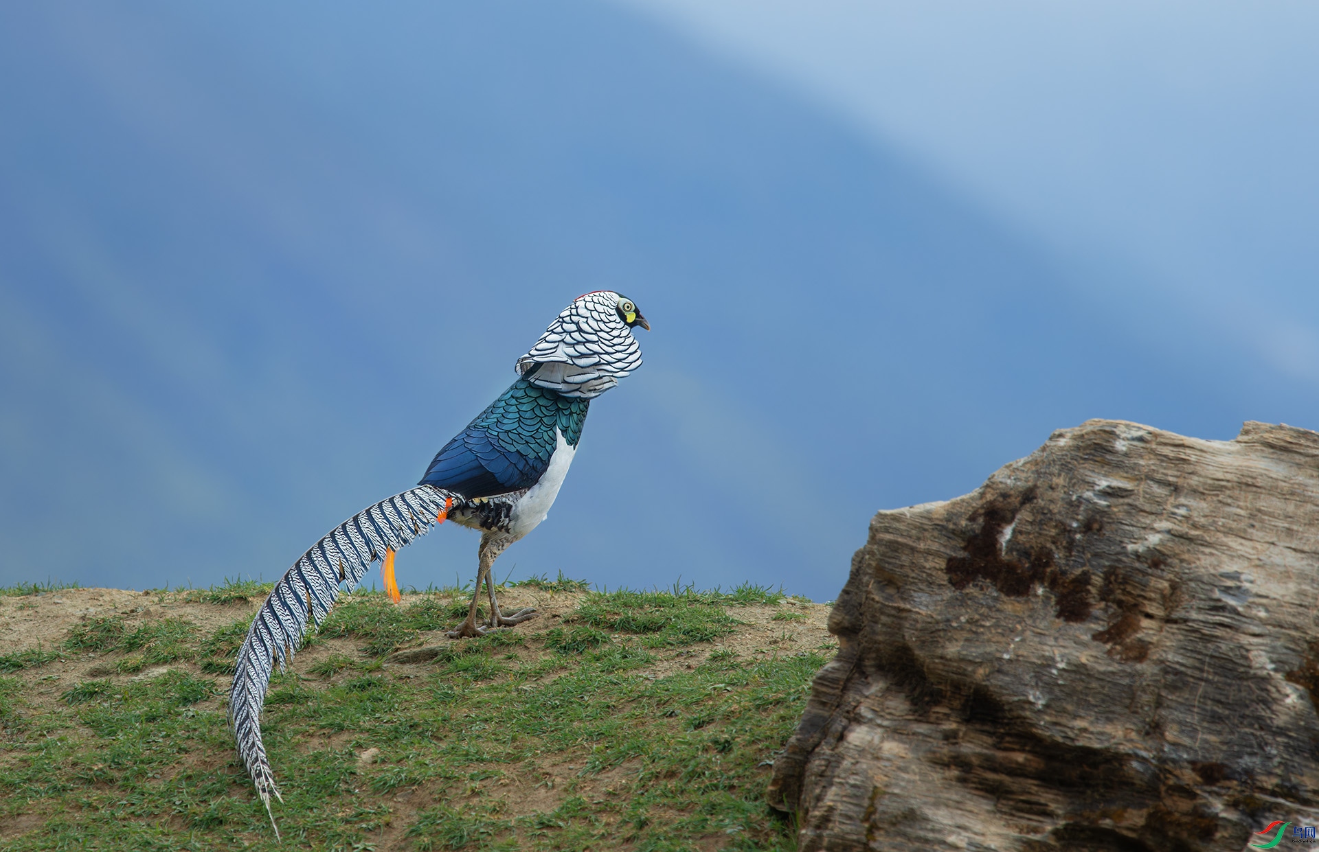 DSC_5940-1.jpg