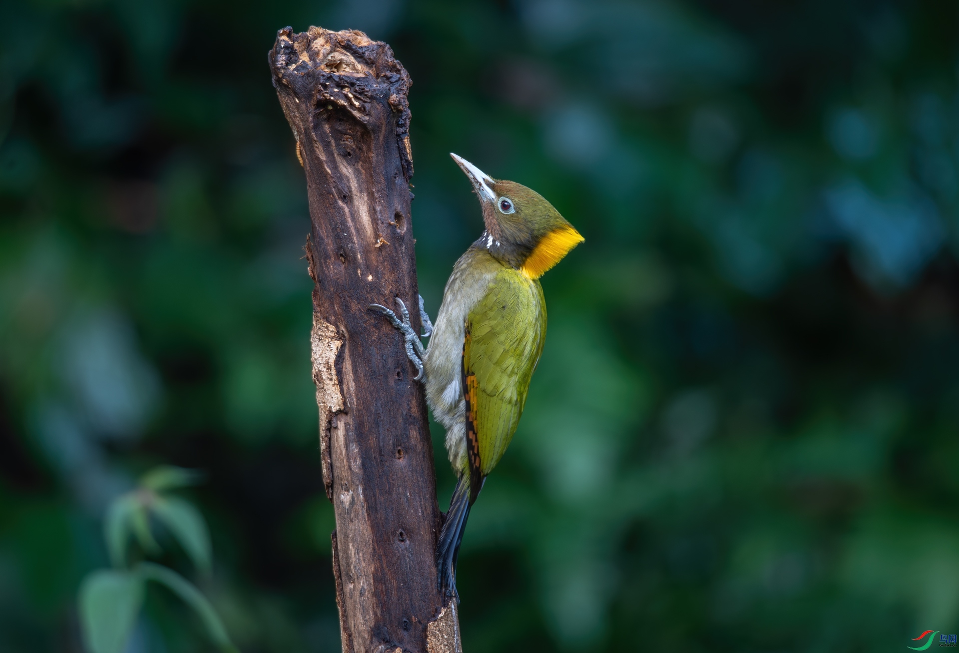 DSC_0422-0.jpg