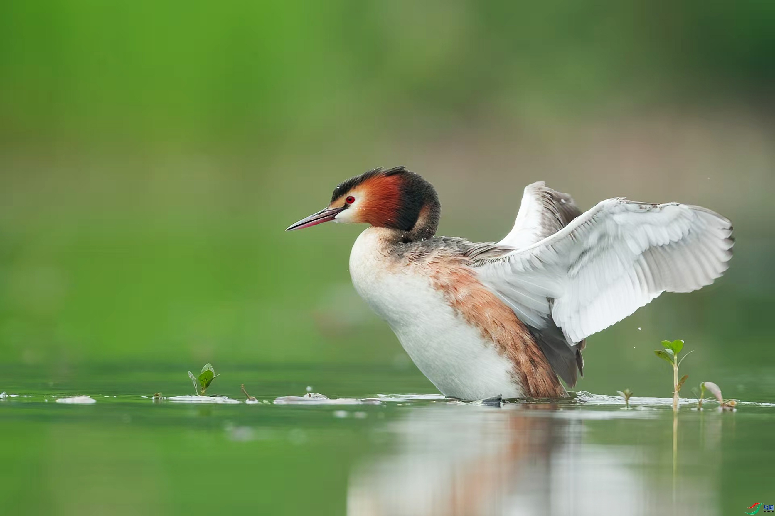 12.31��������ʦ��Ʒ   ����һ�� ��ף���ٻ����Ѿ�����.jpg