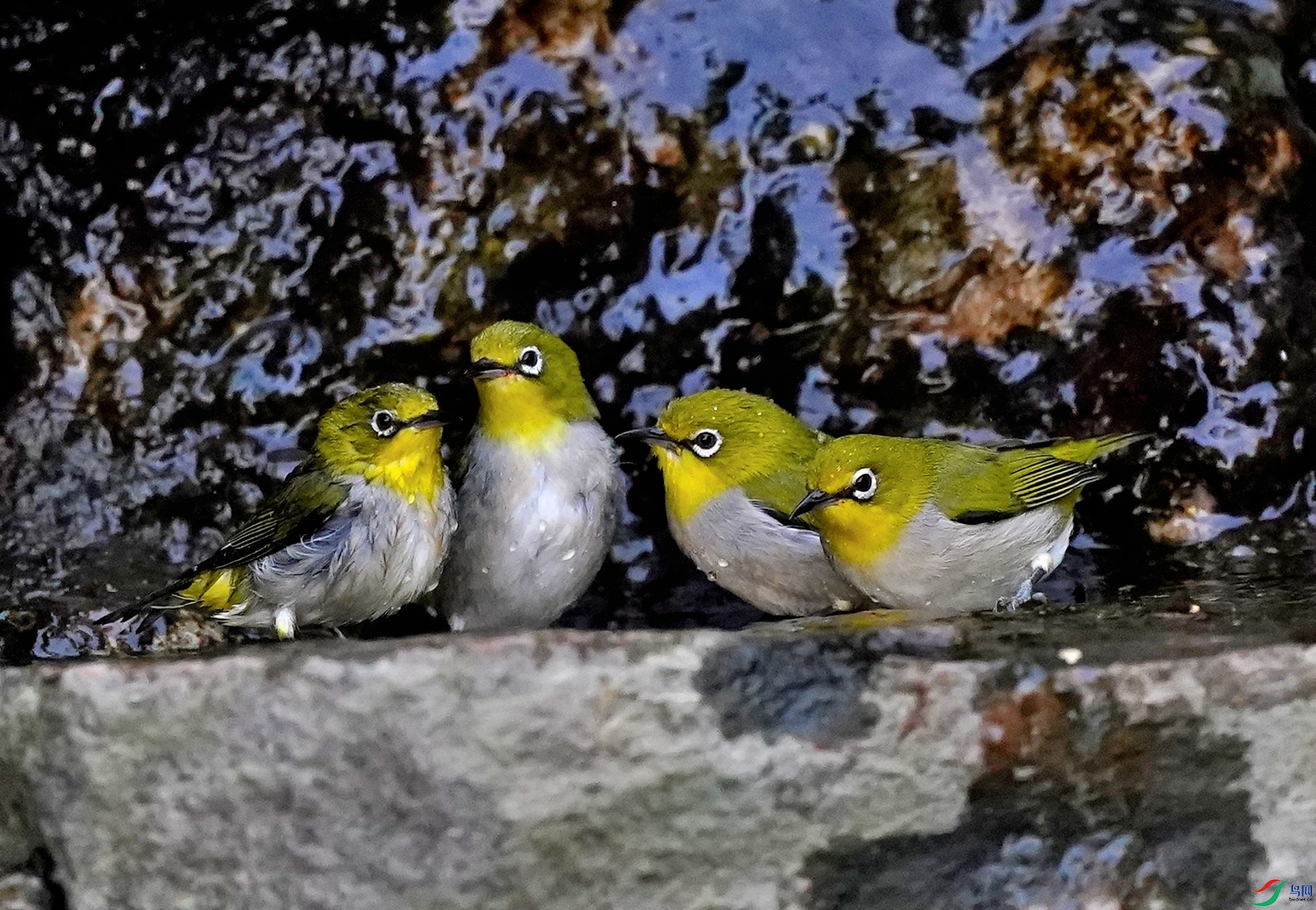DSC03833-2022-10-15.JPG