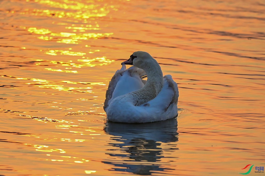 DSC_5785-00 ����.jpg