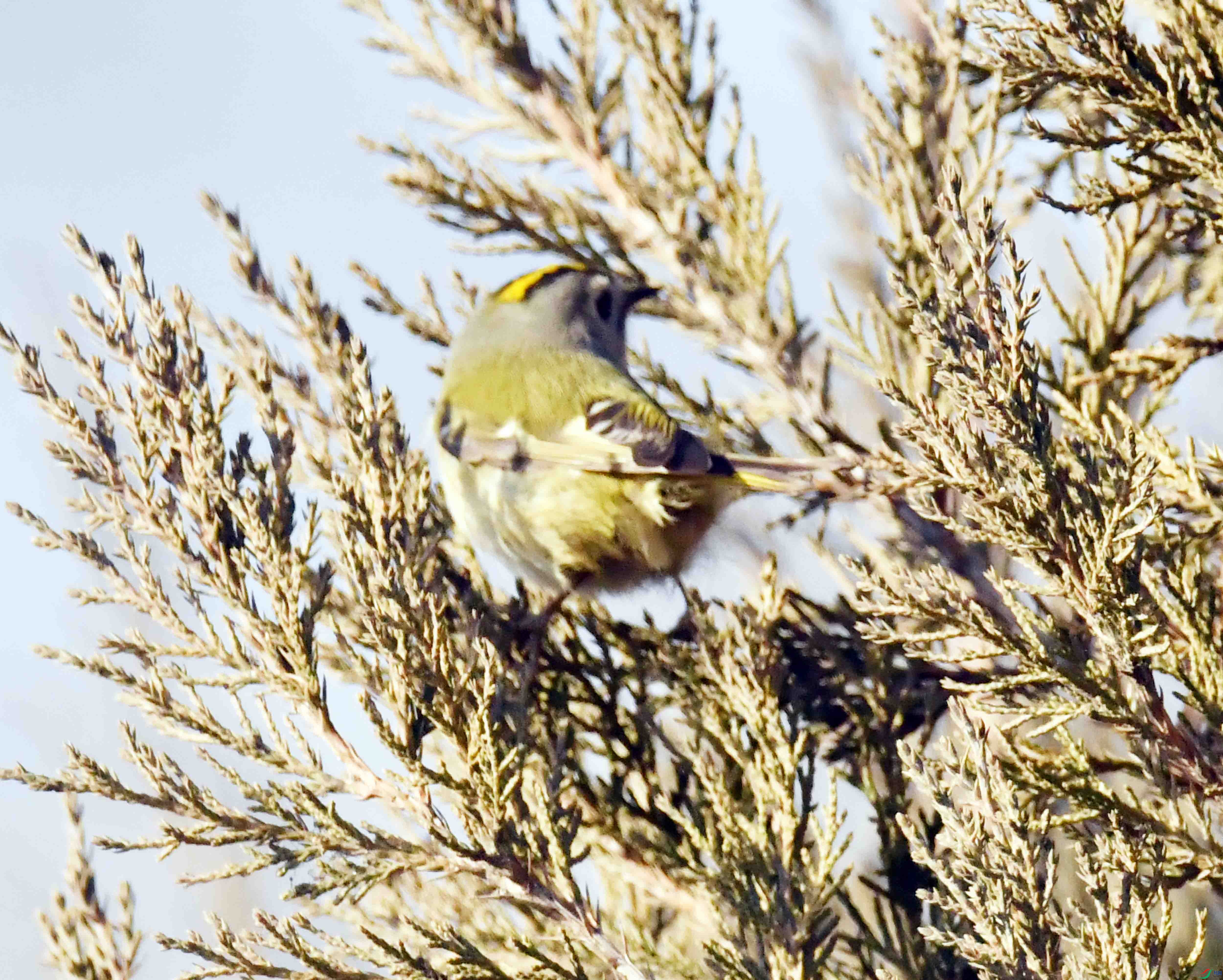 DSC_0363.JPG