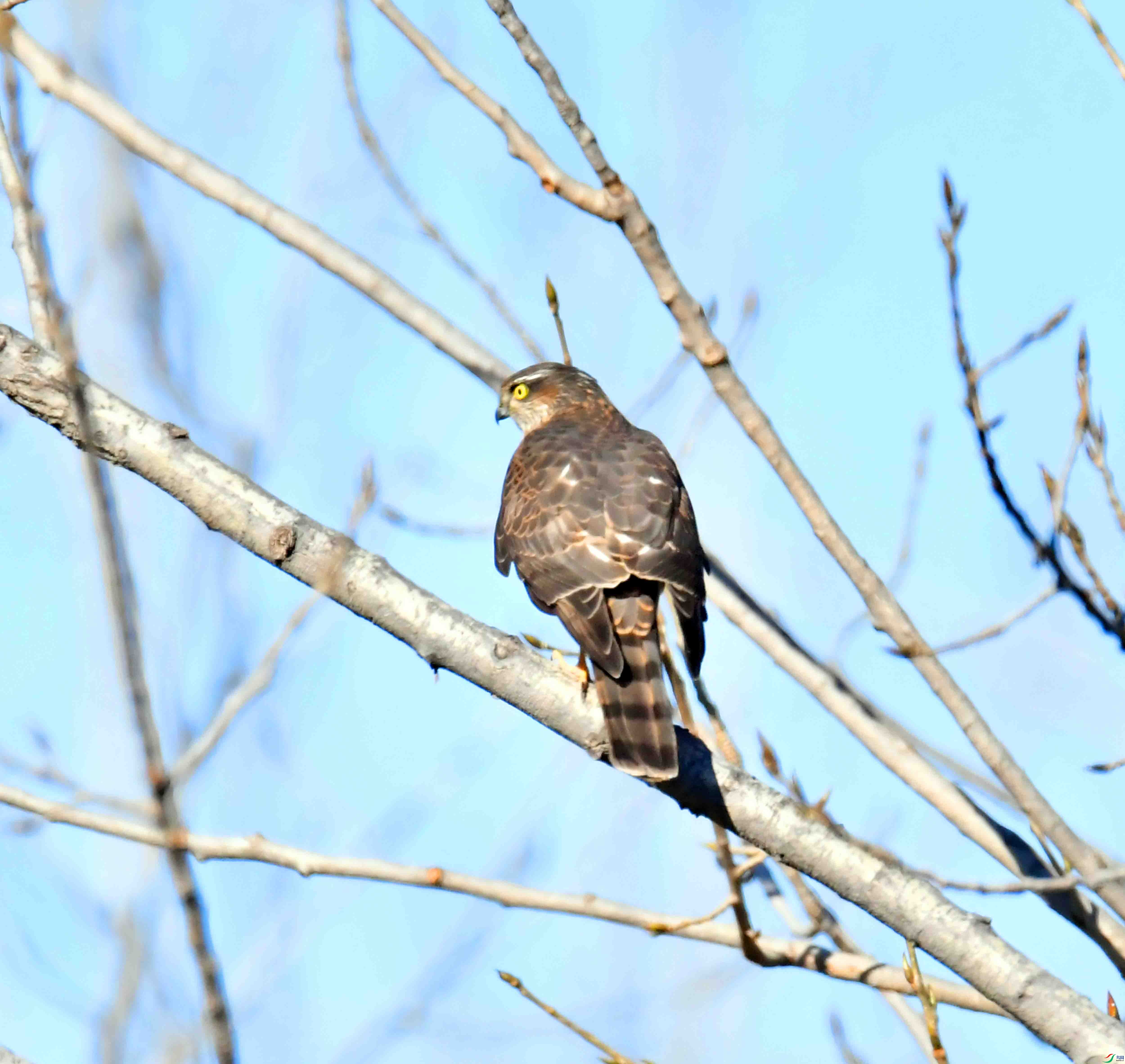DSC_3832.JPG