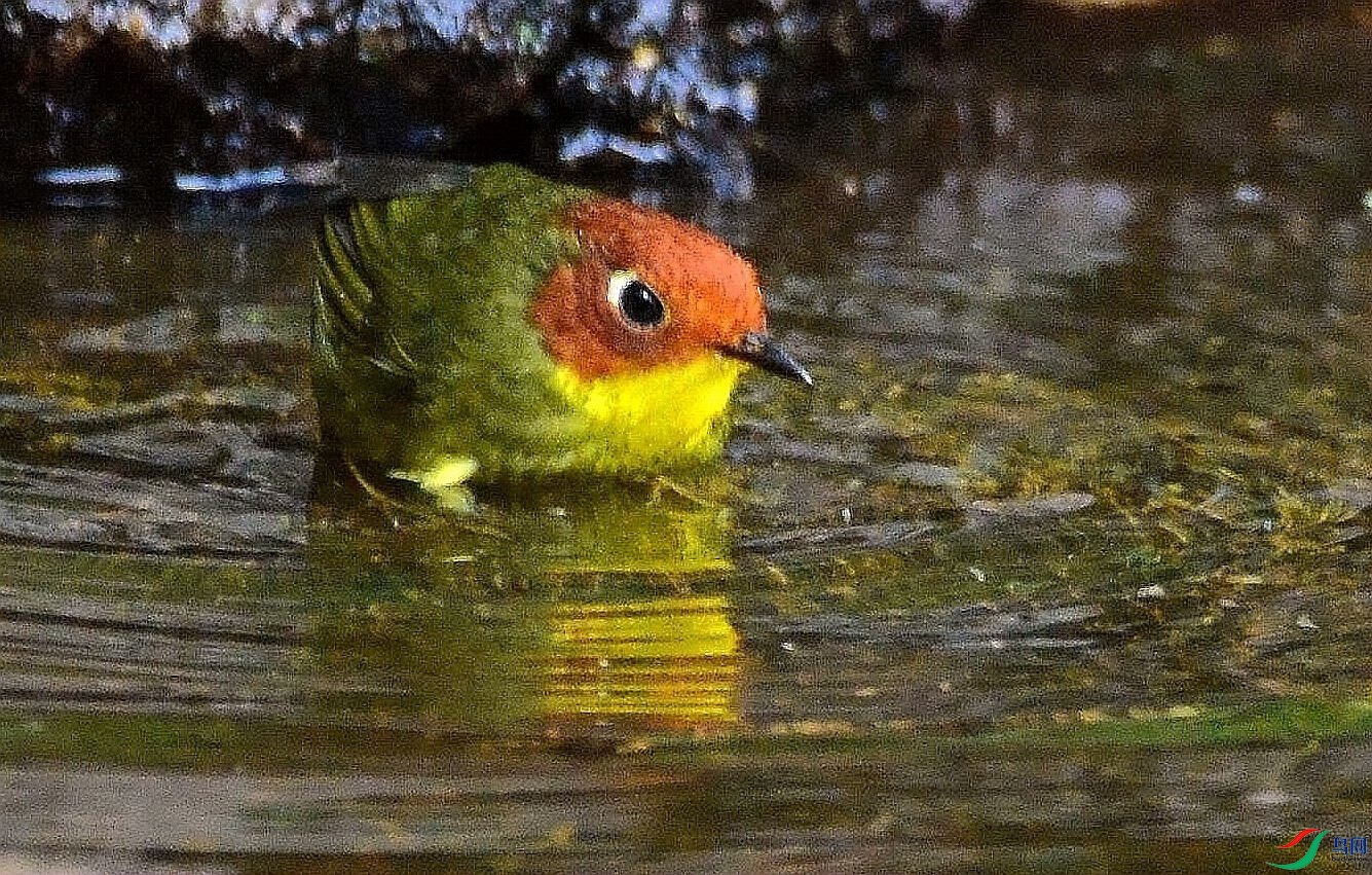 DSC_8937.JPG