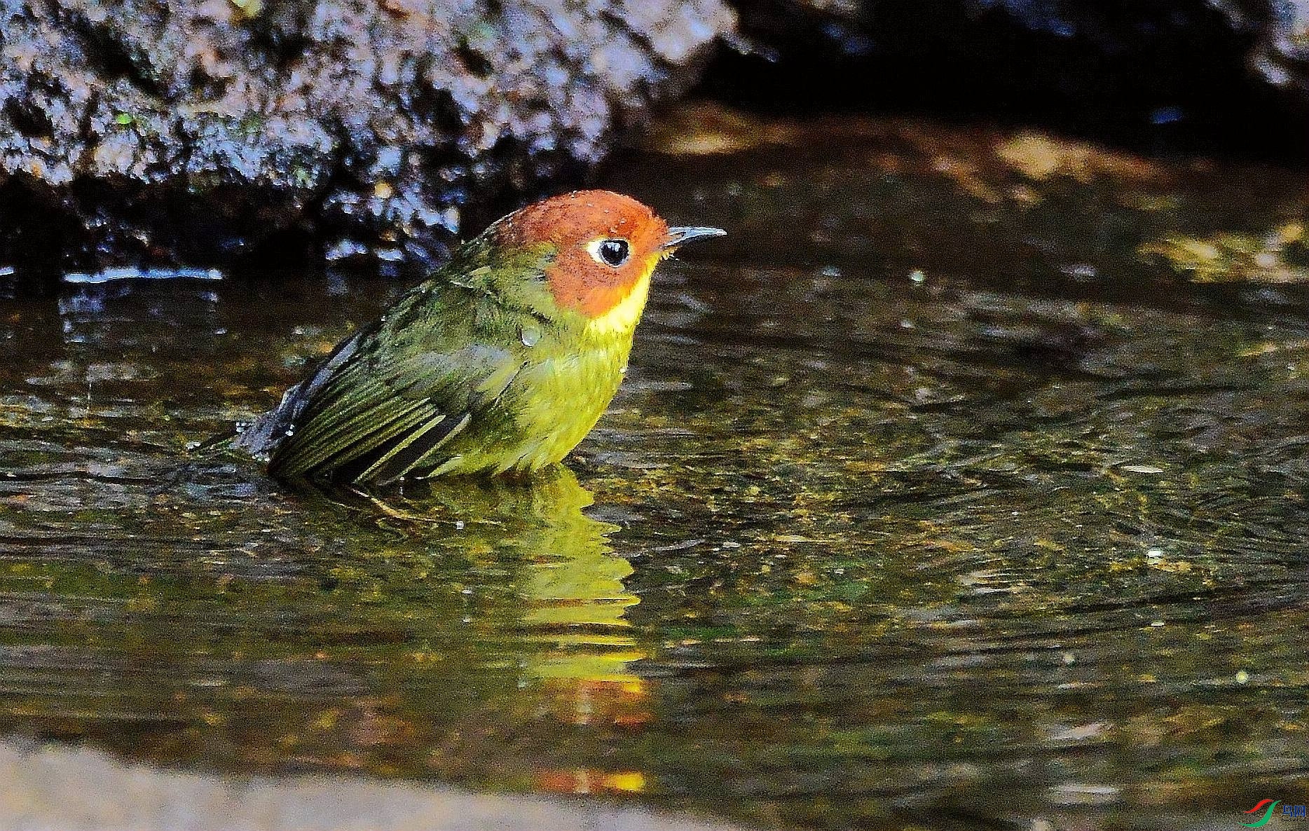 DSC_8941.JPG