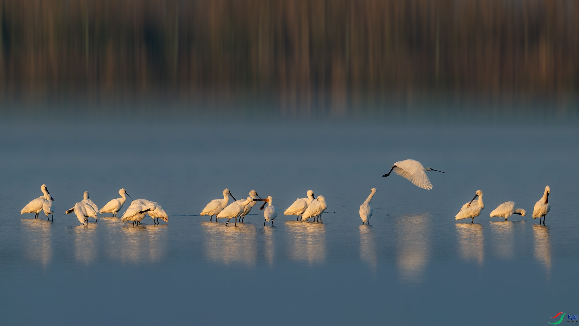 _DSC2887-����ǿ-NR ����С.jpg