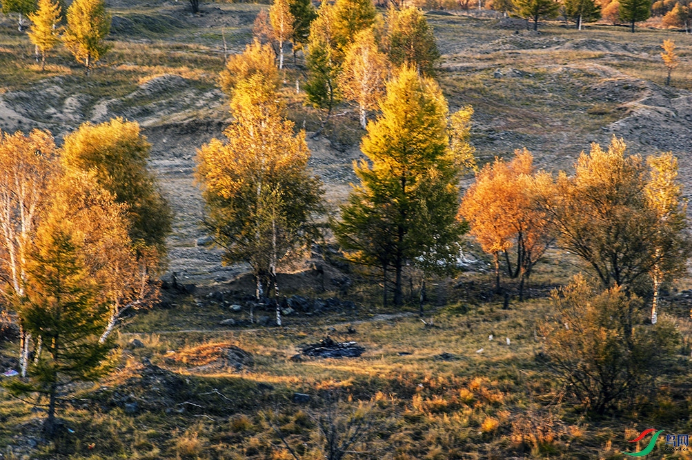 DSC_9599.jpg