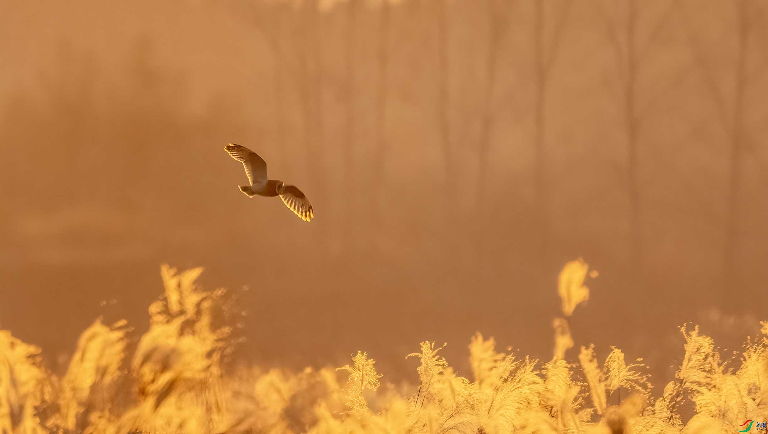 DSC_6125 ����.jpg