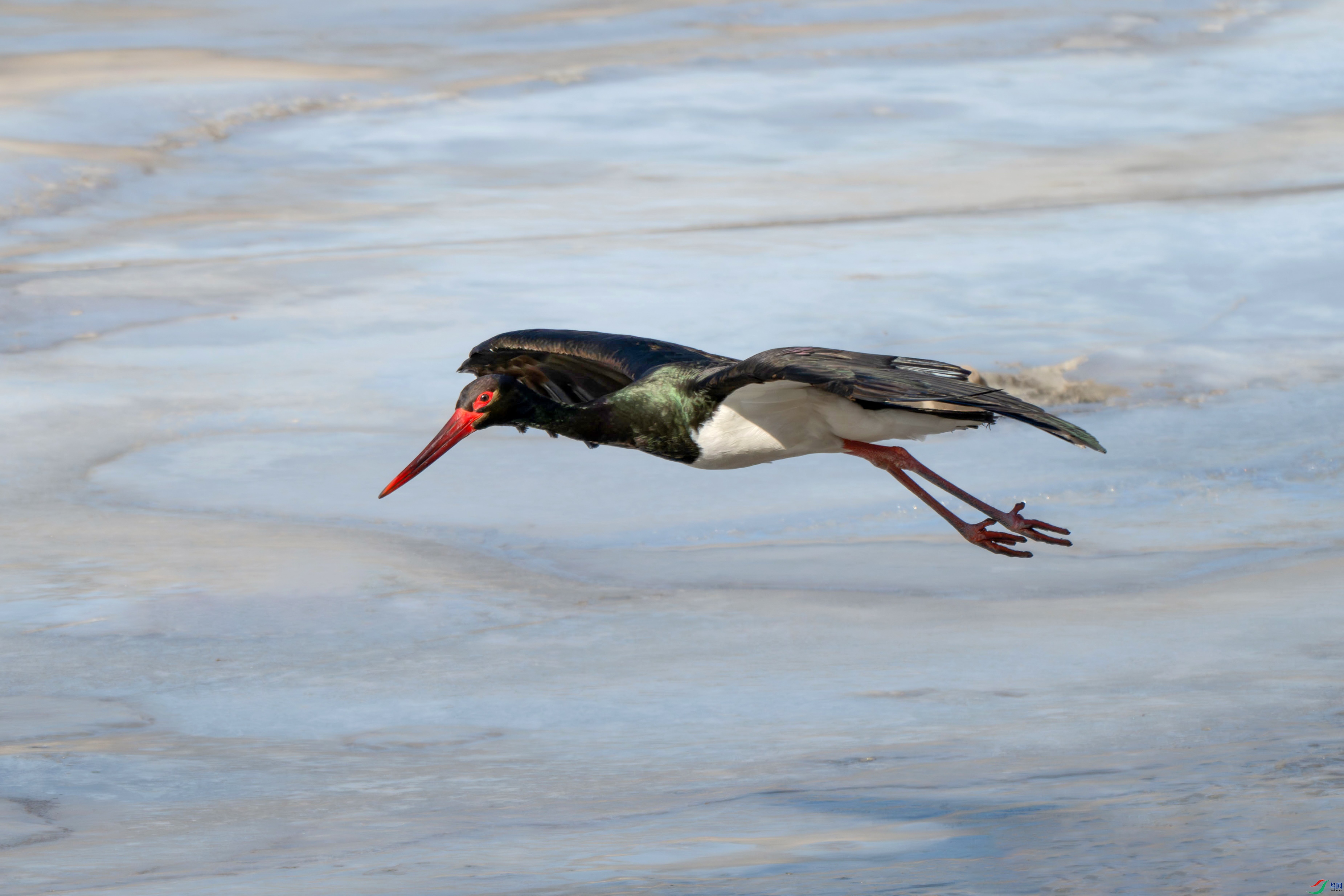 DSC_1905.jpg